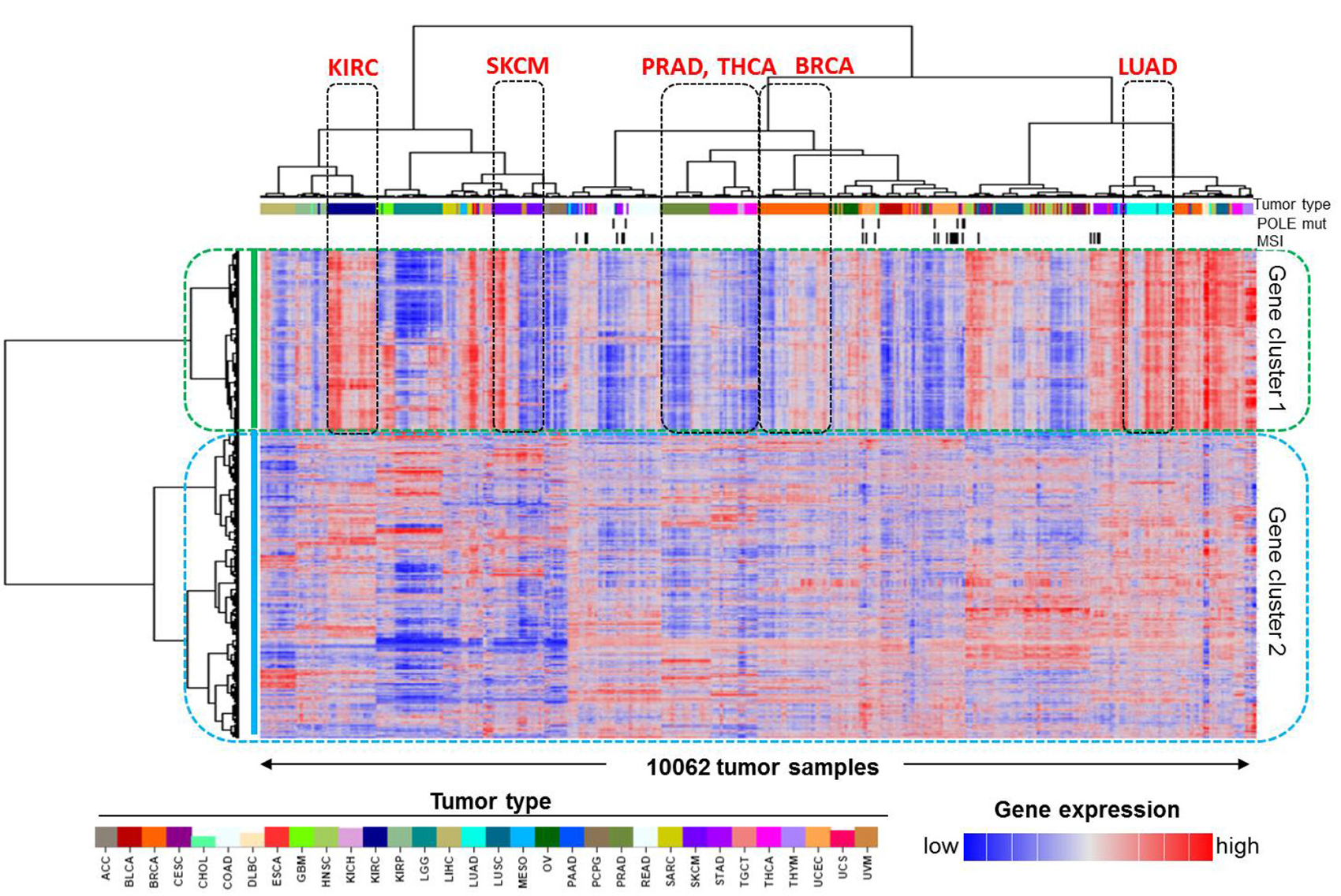 Identification of the pan-cancer immune gene expression signature in human cancer.