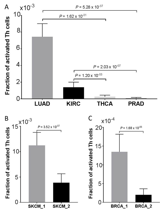 Verification of Th cells activation.