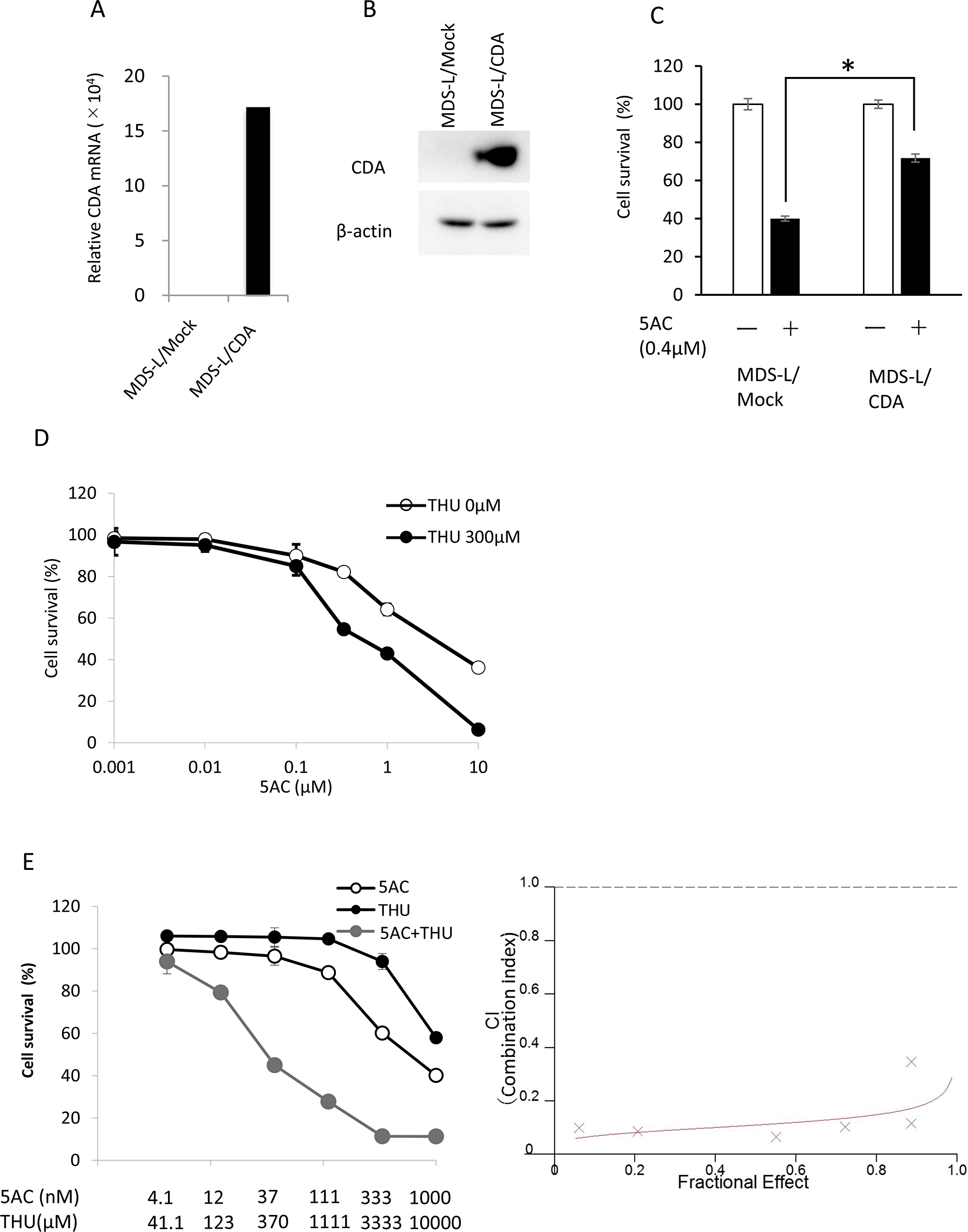 The expression of CDA was closely associated with cellular sensitivity to 5AC.