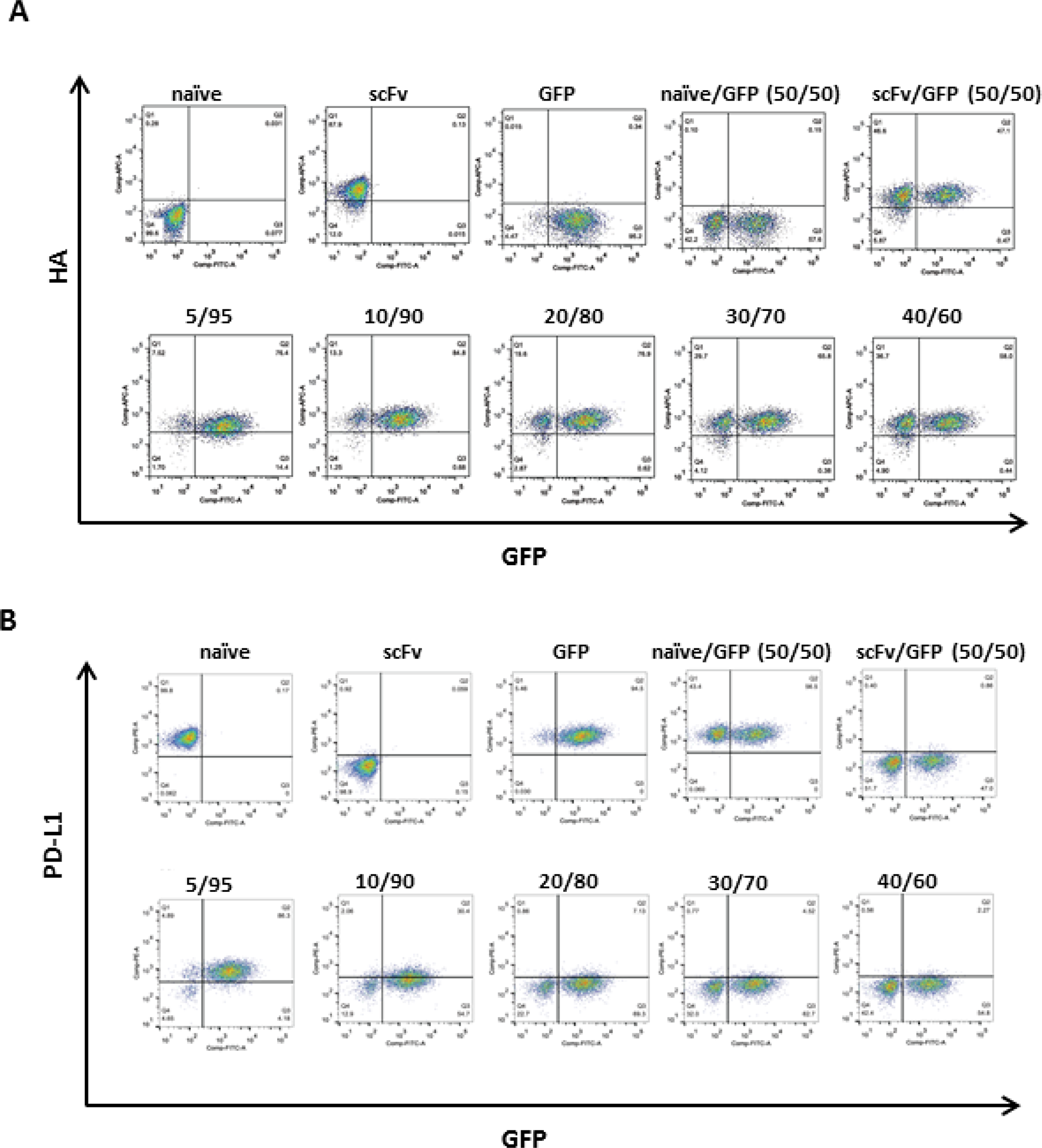 scFv PD-L1 trans-binding activity to PD-L1 on the cell surface of bystander cells.