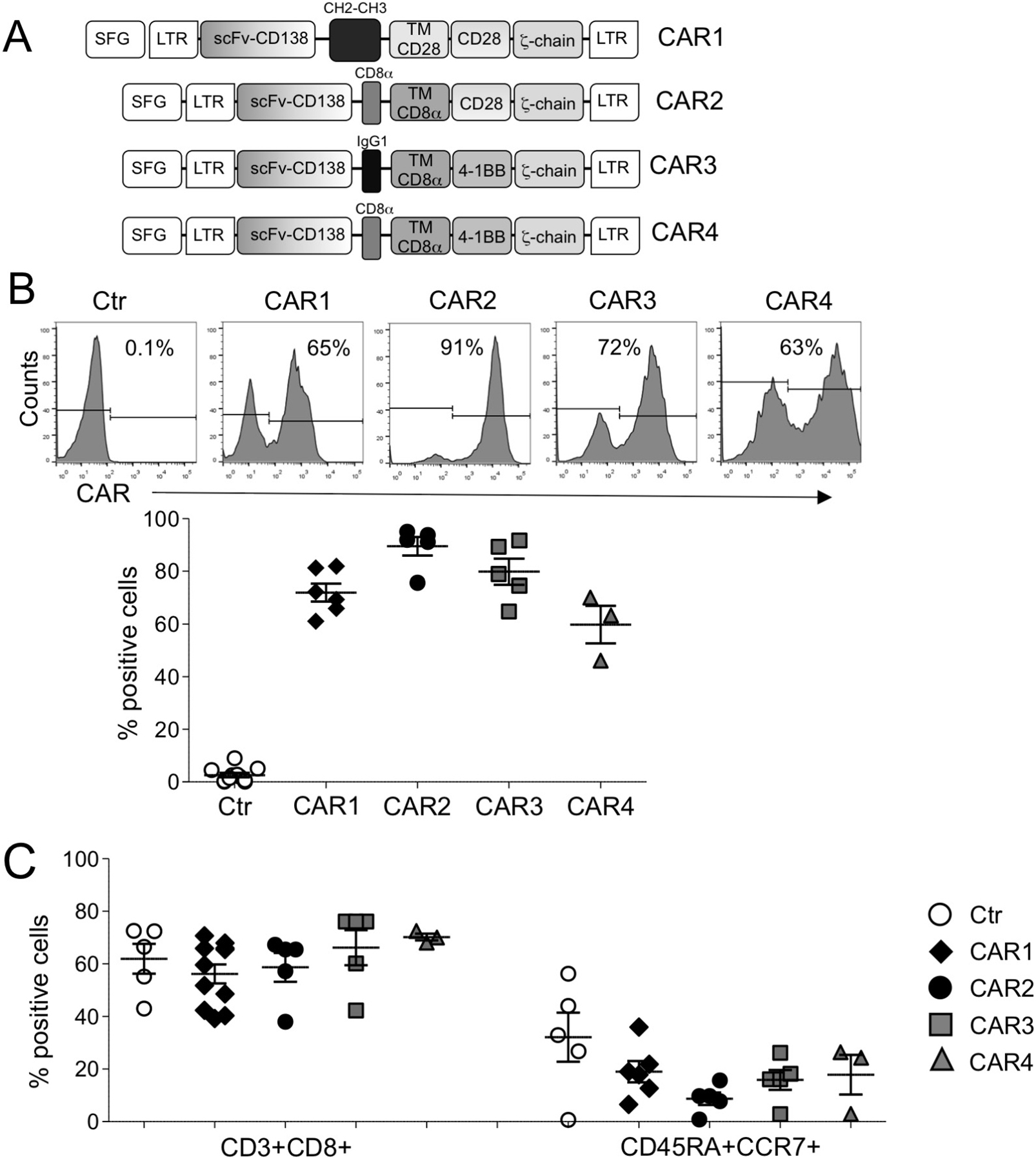 Characterization of CD138.CAR-Ts.