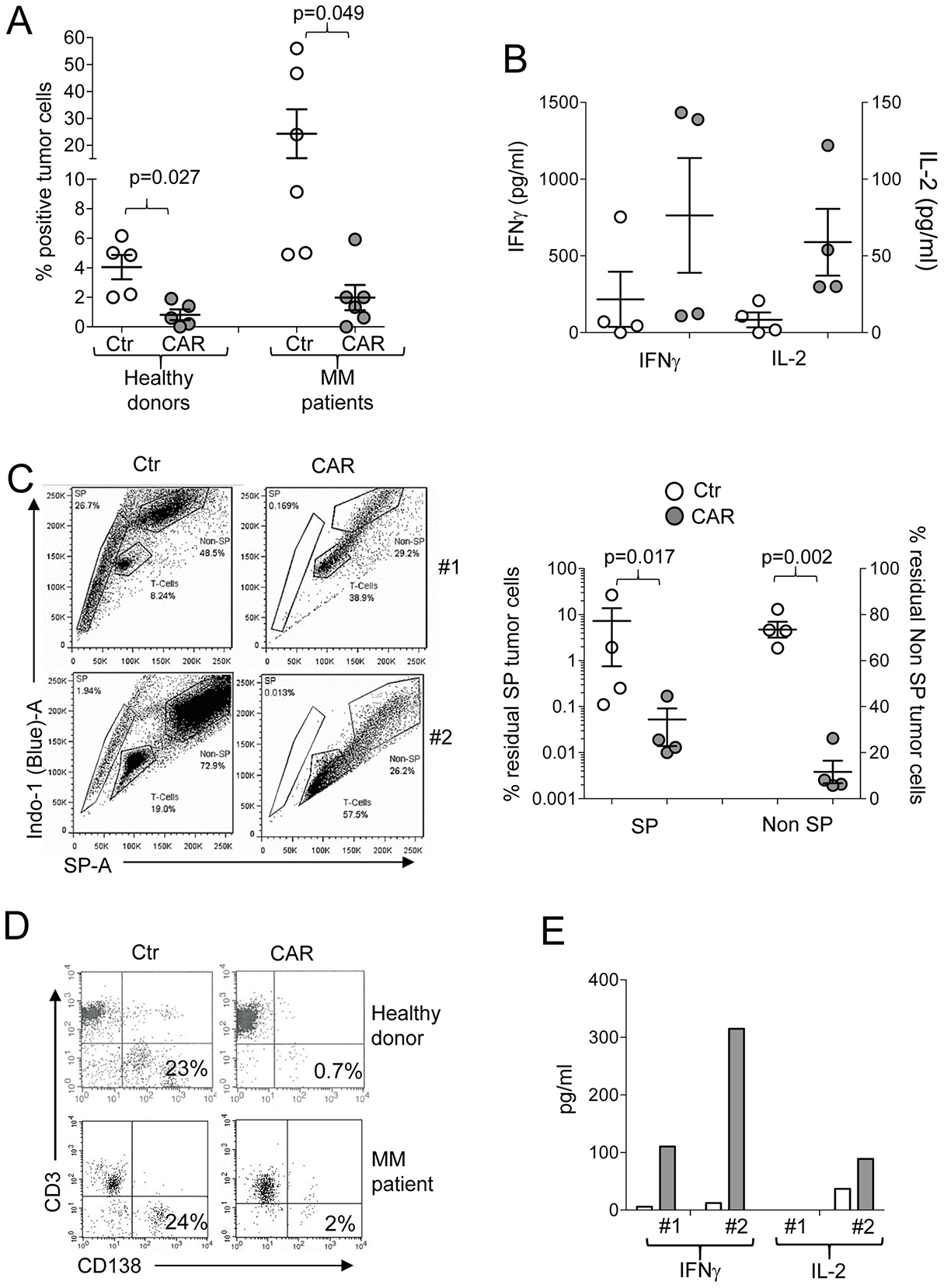 Targeting of primary MM tumors.