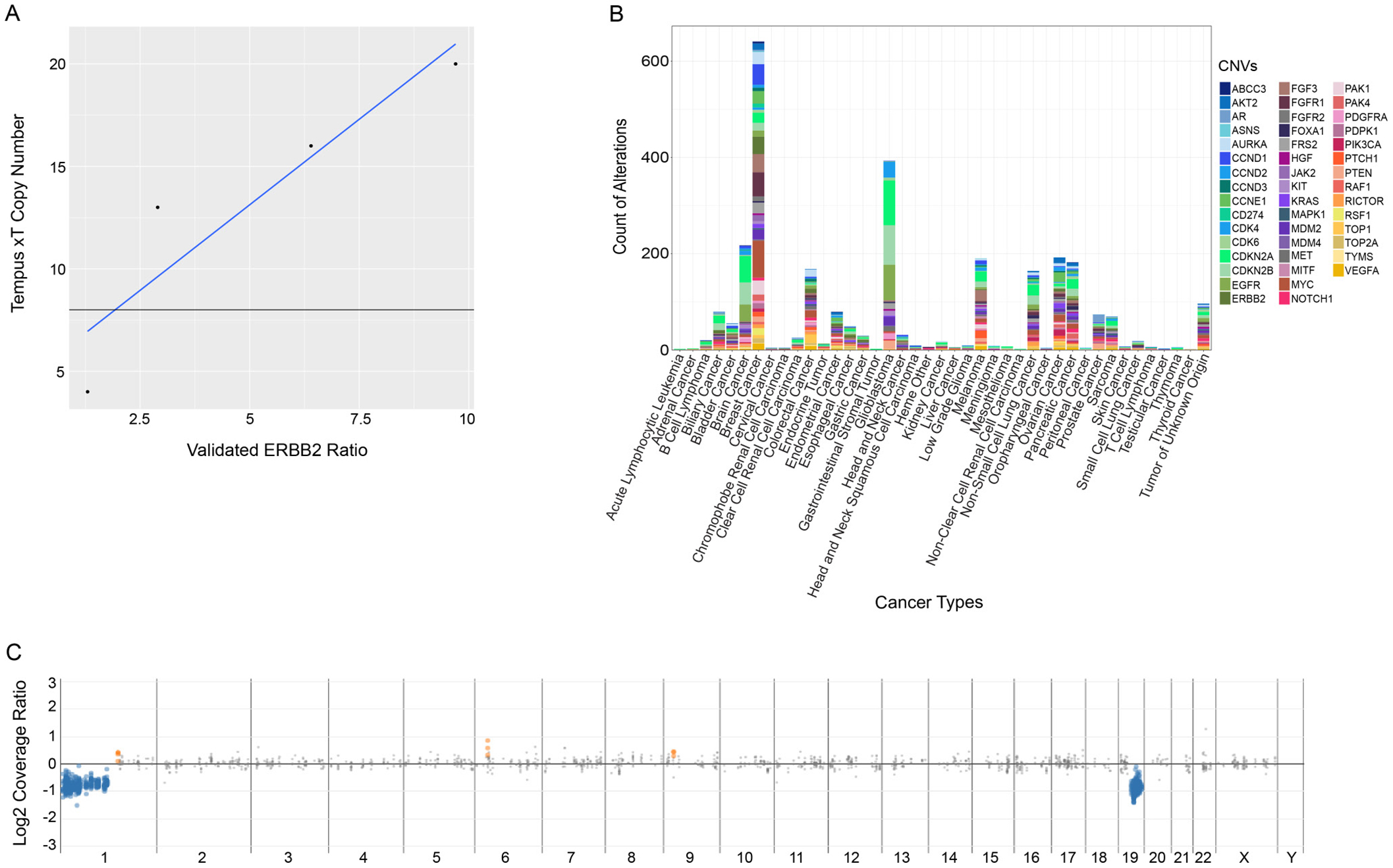 Analysis of performance of the xT assay in the detection of copy number variations.