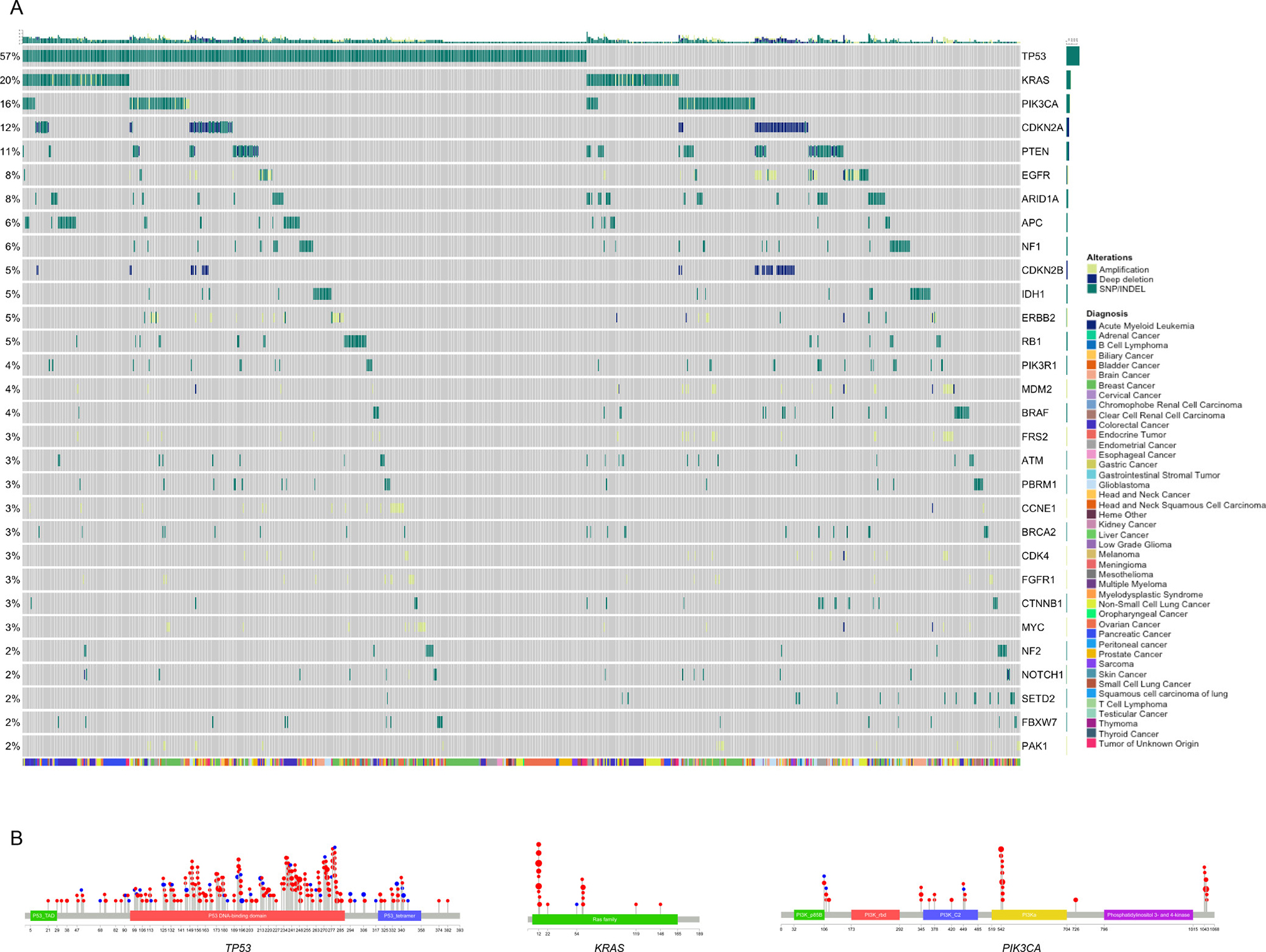 Mutational landscape across all cancer types.