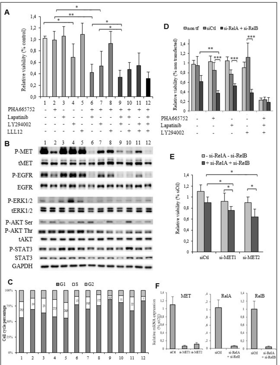 The EGFR, PI3K/AKT and NF-&#x03BA;B signaling pathways are implicated in PHA665752 resistance of the TTA1 cells.