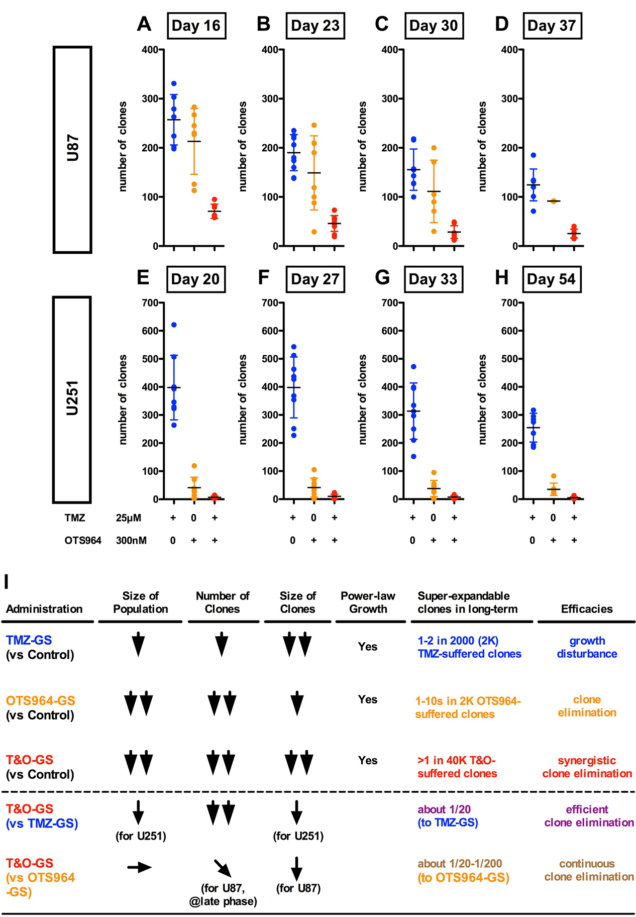 Substantial elimination of GS clones in combined administration of TMZ and OTS964.