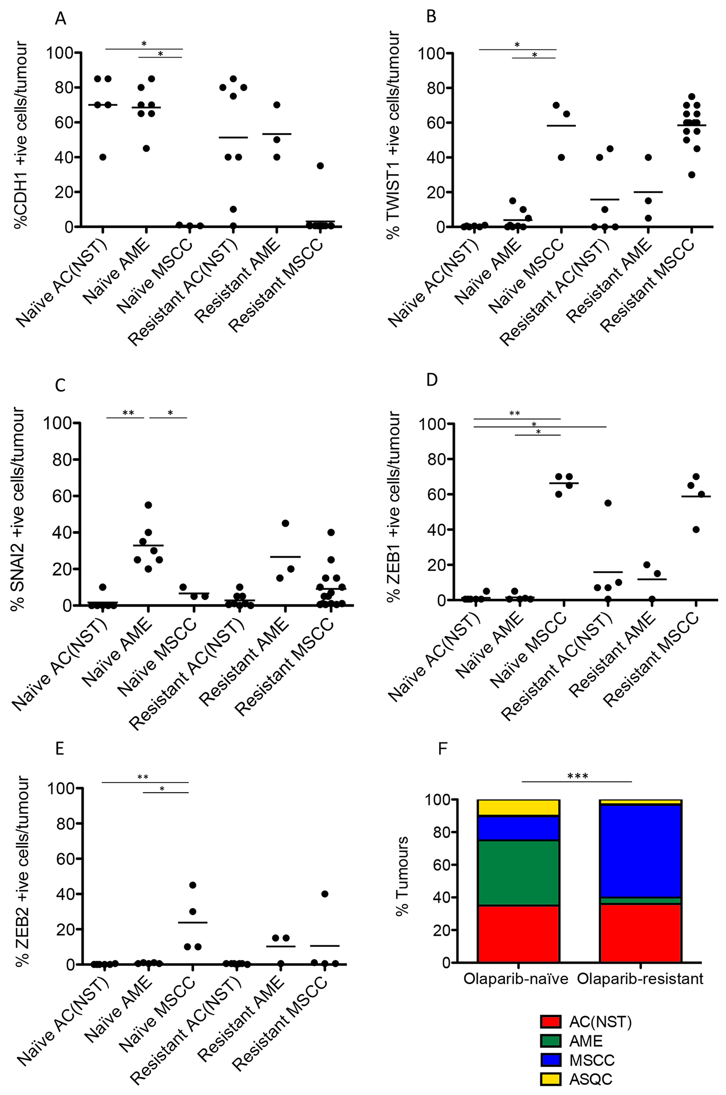Olaparib-resistant Brca2/p53-mutant tumours are enriched for an EMT histotype.