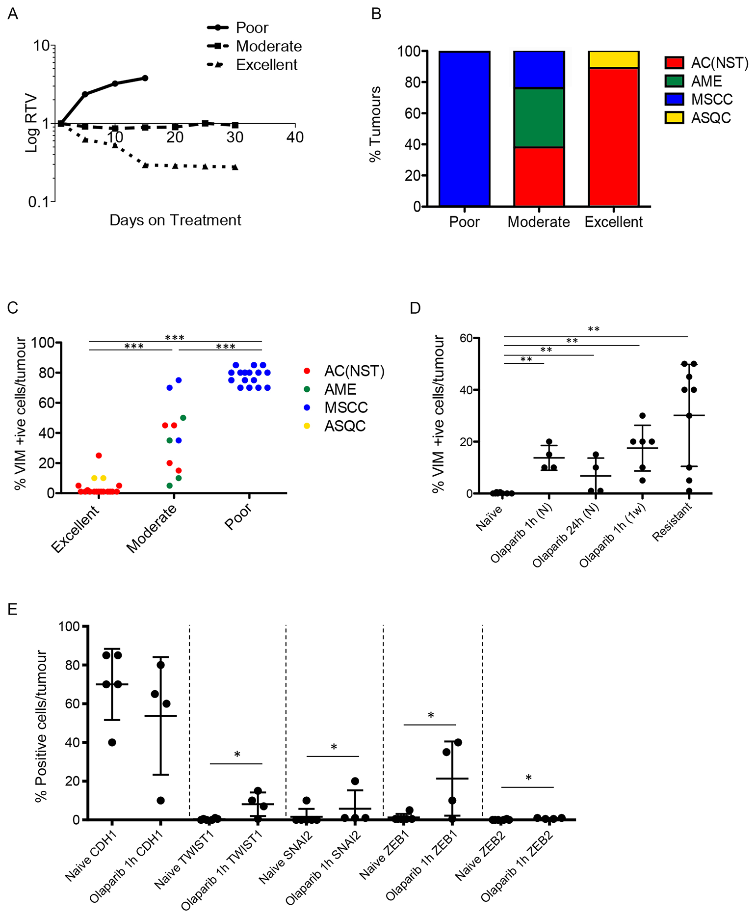 Olaparib response is correlated with tumour phenotype.