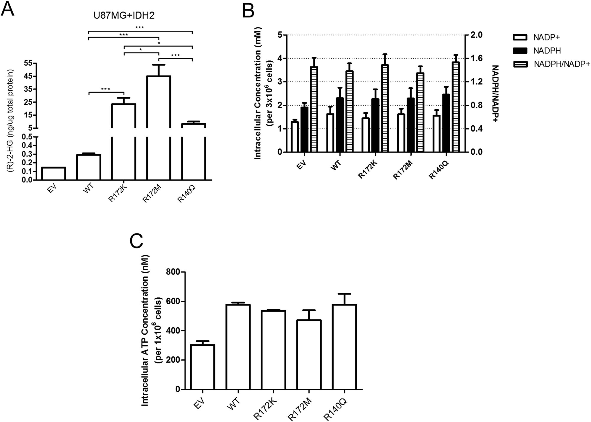 The amount of (R)-2-HG produced in U87MG cells is determined by the nature of the IDH2 mutation while levels of NADP and ATP remain unchanged.