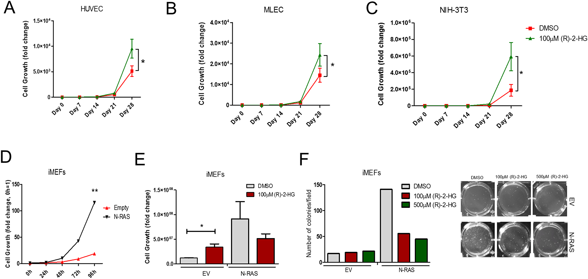 (R)-2-HG suppresses tumor colony formation following transformation with oncogenic Ras.