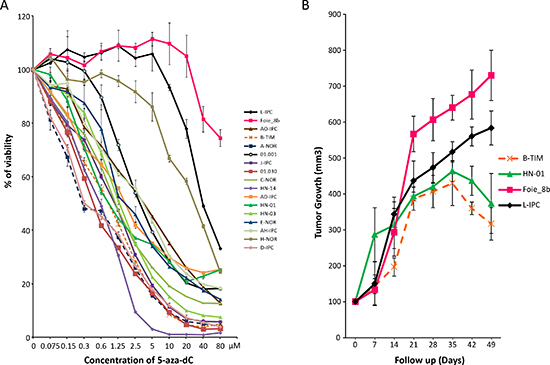 Sensitivity to the 5-aza-dC in vitro and in vivo.