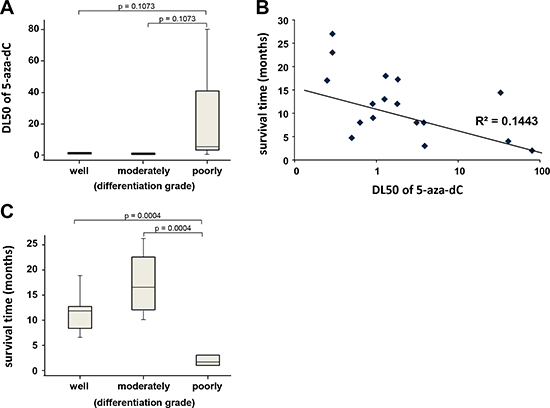 (A) Box and whiskers plot showing the distribution of DL50 for 5-aza-dC in a three point score of tumor differentiation (well, moderately and poorly differentiated or undifferentiated).