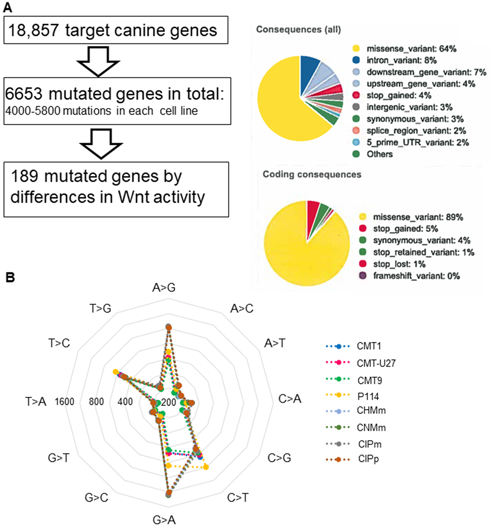 The exome sequencing in 8 canine mammary tumor cell lines.