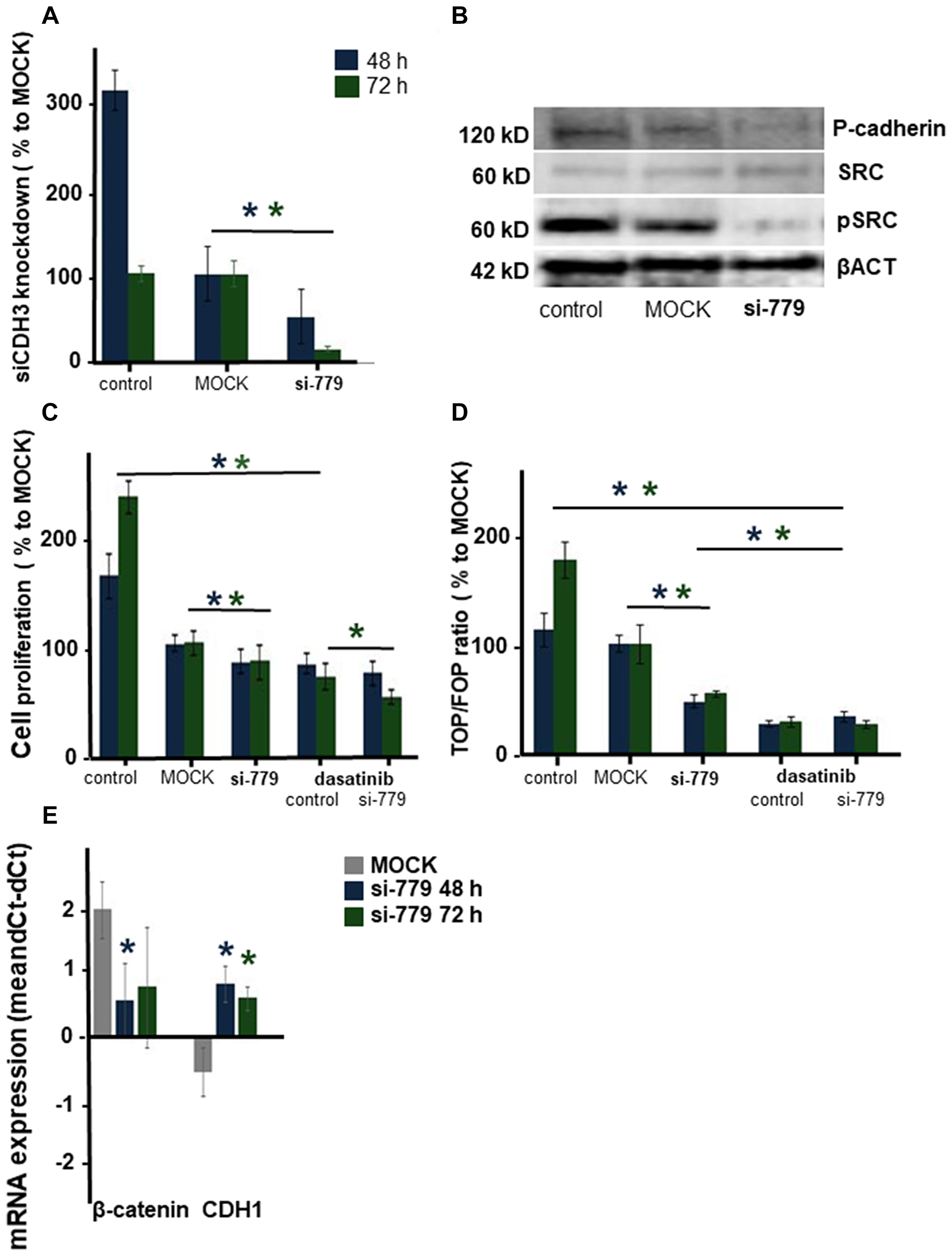 The effect of silencing CDH3 mRNA in CMT-U27 canine mammary tumor cells.