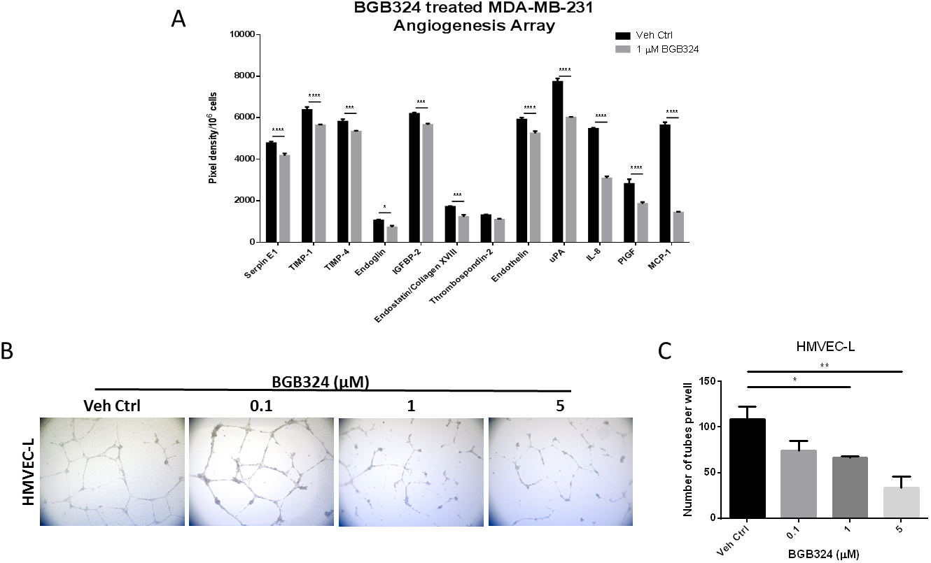 A selective Axl inhibitor, BGB324, suppresses angiogenic phenotypes.