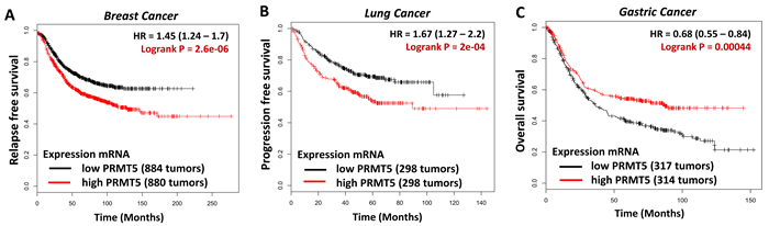 Kaplan-Meier analysis comparing survival of a cohort of breast (A), lung (B) or gastric cancer (C), separated into low or high PRMT5 expression as indicated using appropriate databases [13].
