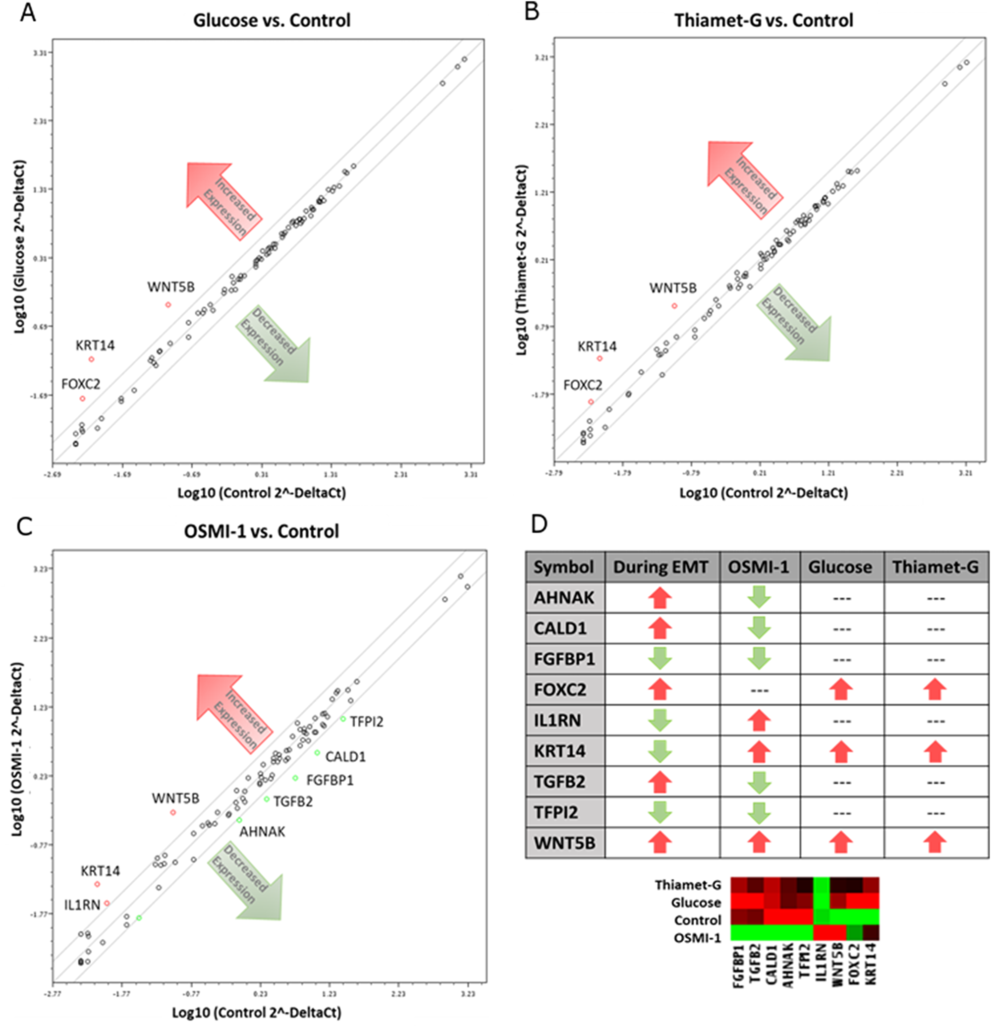 Disruption of O-GlcNAc alters gene expression in EMT related genes of Ishikawa cells.