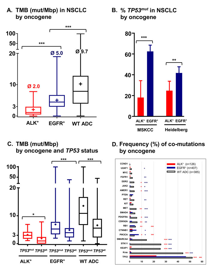 Tumor mutational burden, frequency of TP53 mutations and frequency of co-mutations in metastatic ALK