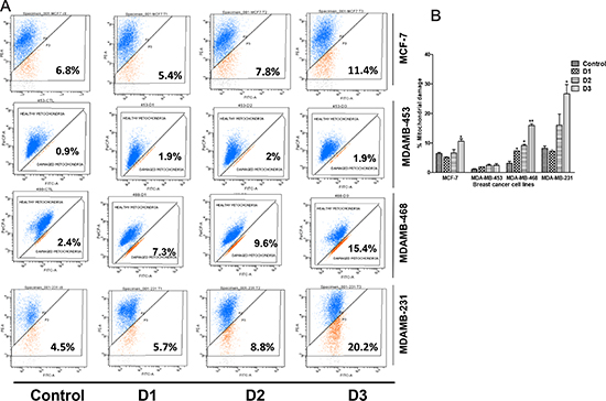 PP induces a loss of mitochondrial membrane potential.