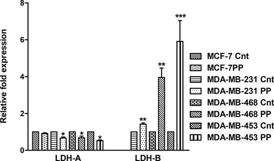 PP modulates expression of LDH-A and LDH-B.