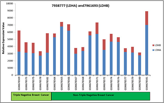 LDH-A and LDH-B expression in TNBC and non-TNBC breast cancer samples.