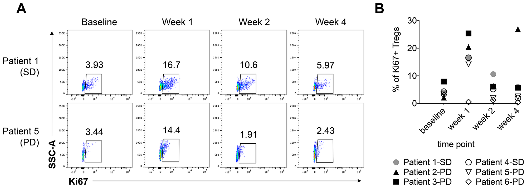 The percentage of Ki67+ regulatory T cells increases at 1 week post-radiation therapy and tremelimumab treatment.
