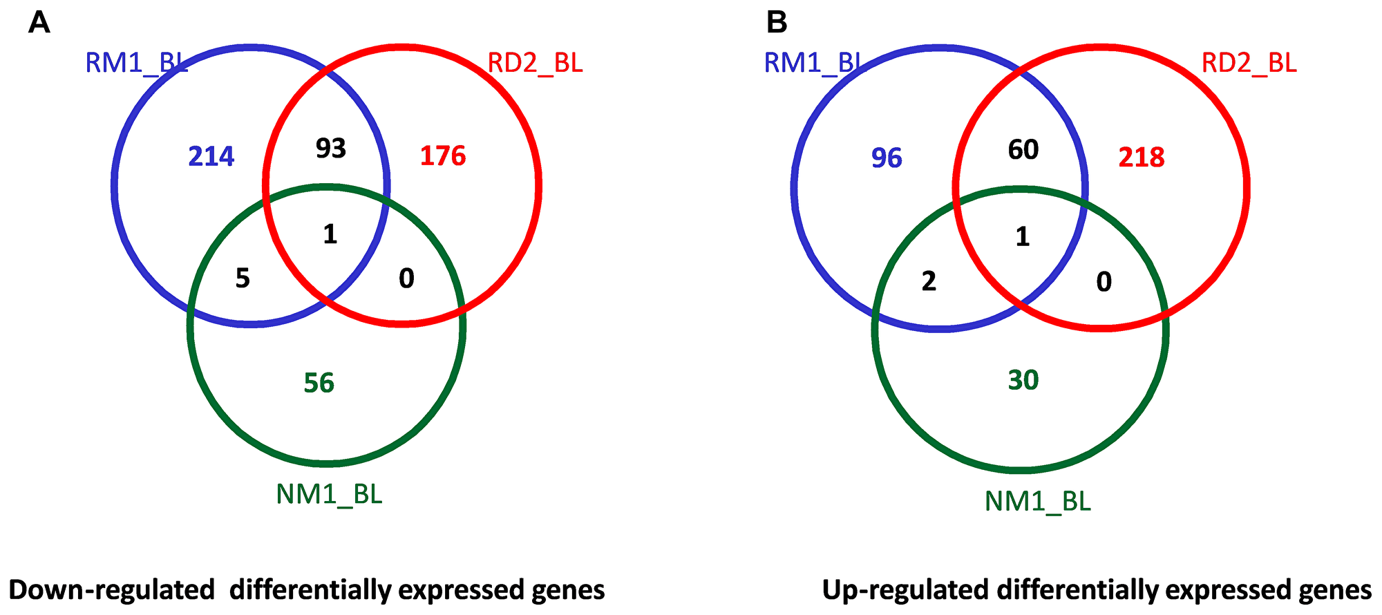 Venn diagrams of the cross comparison of DEGs between different groups.