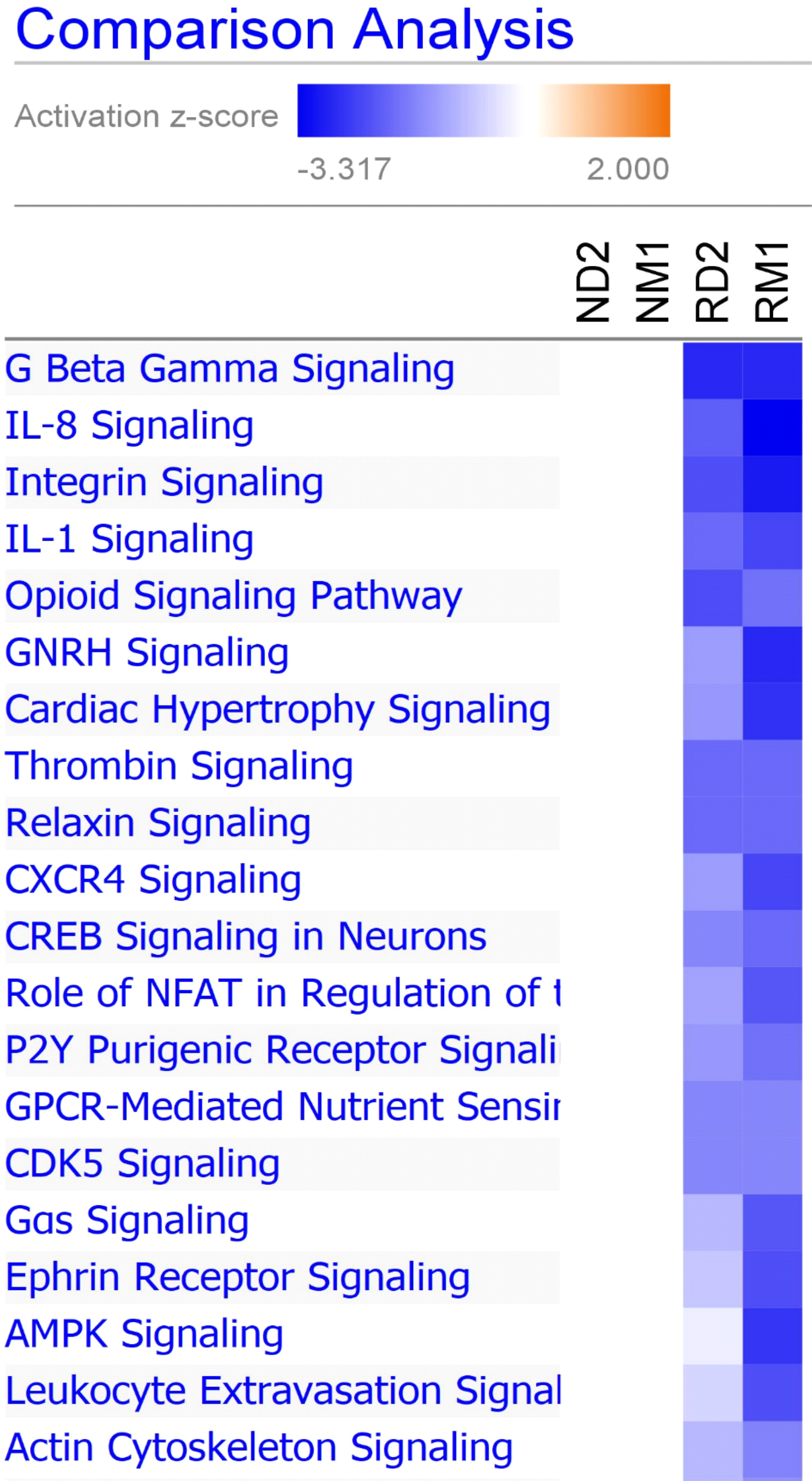 Canonical pathway comparison between different groups.