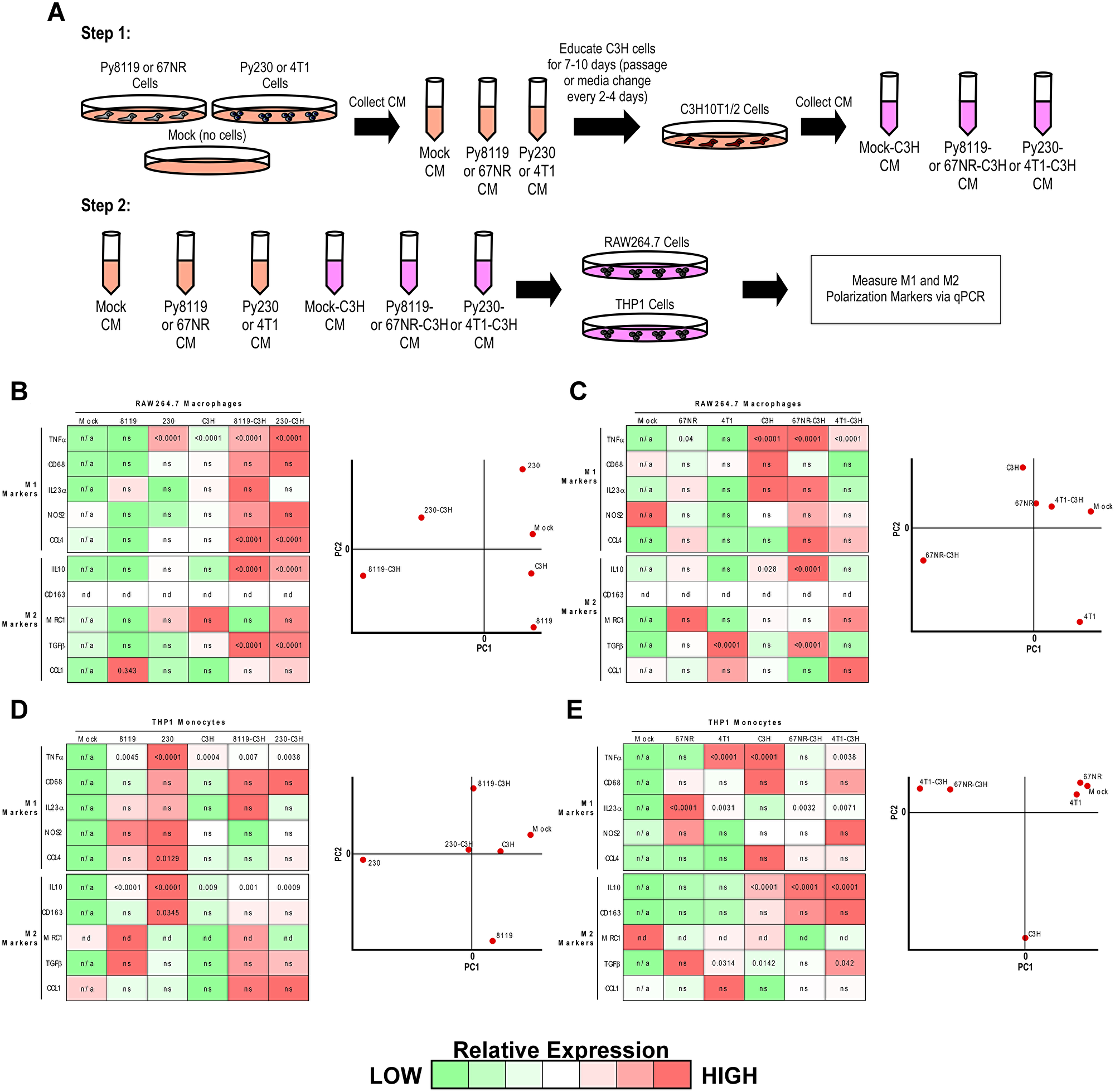 Metastatic breast cancer cells reprogram MSCs toward an anti-inflammatory state.