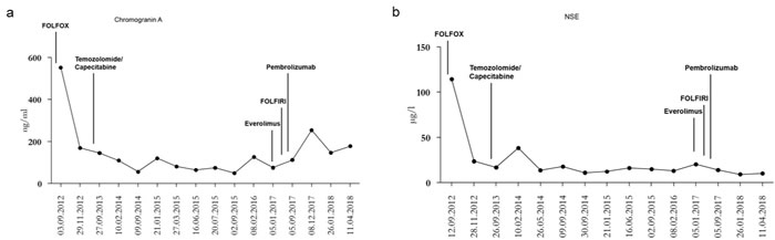 Tumor markers Chromogranin A and NSE during the different treatments.