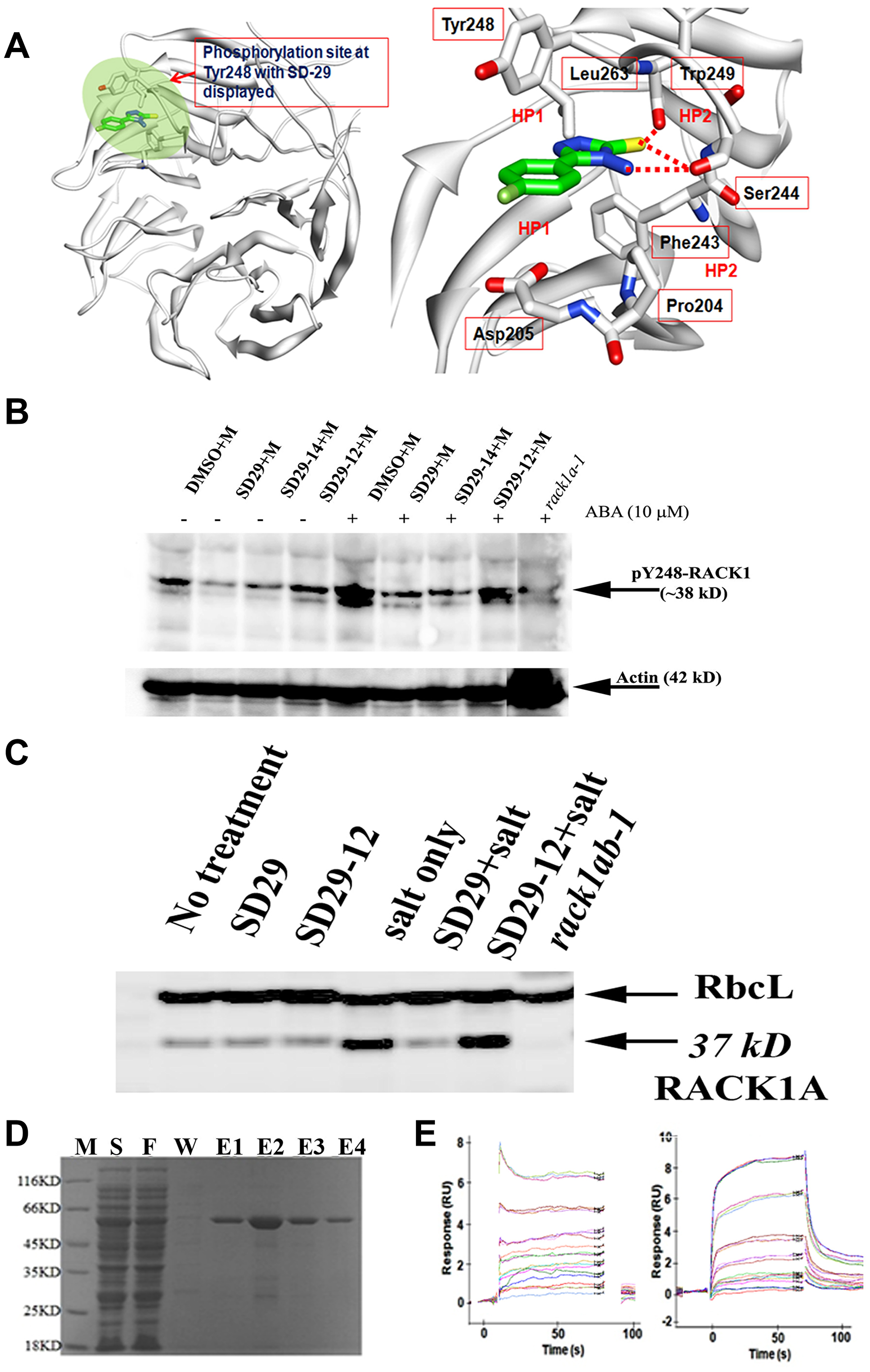 Figure 2: