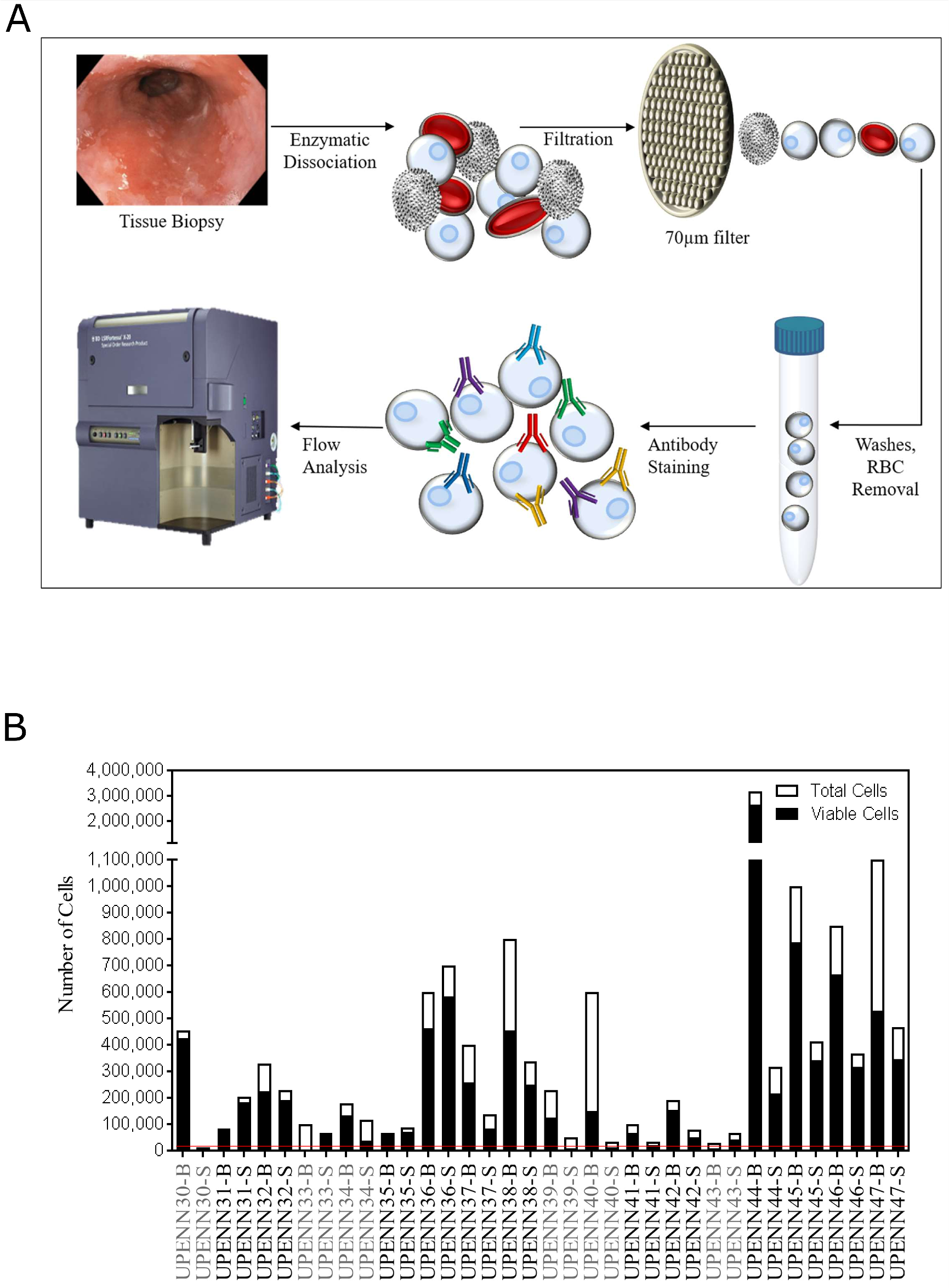 Schematic overview of single cell analysis for tissue immunophenotyping.