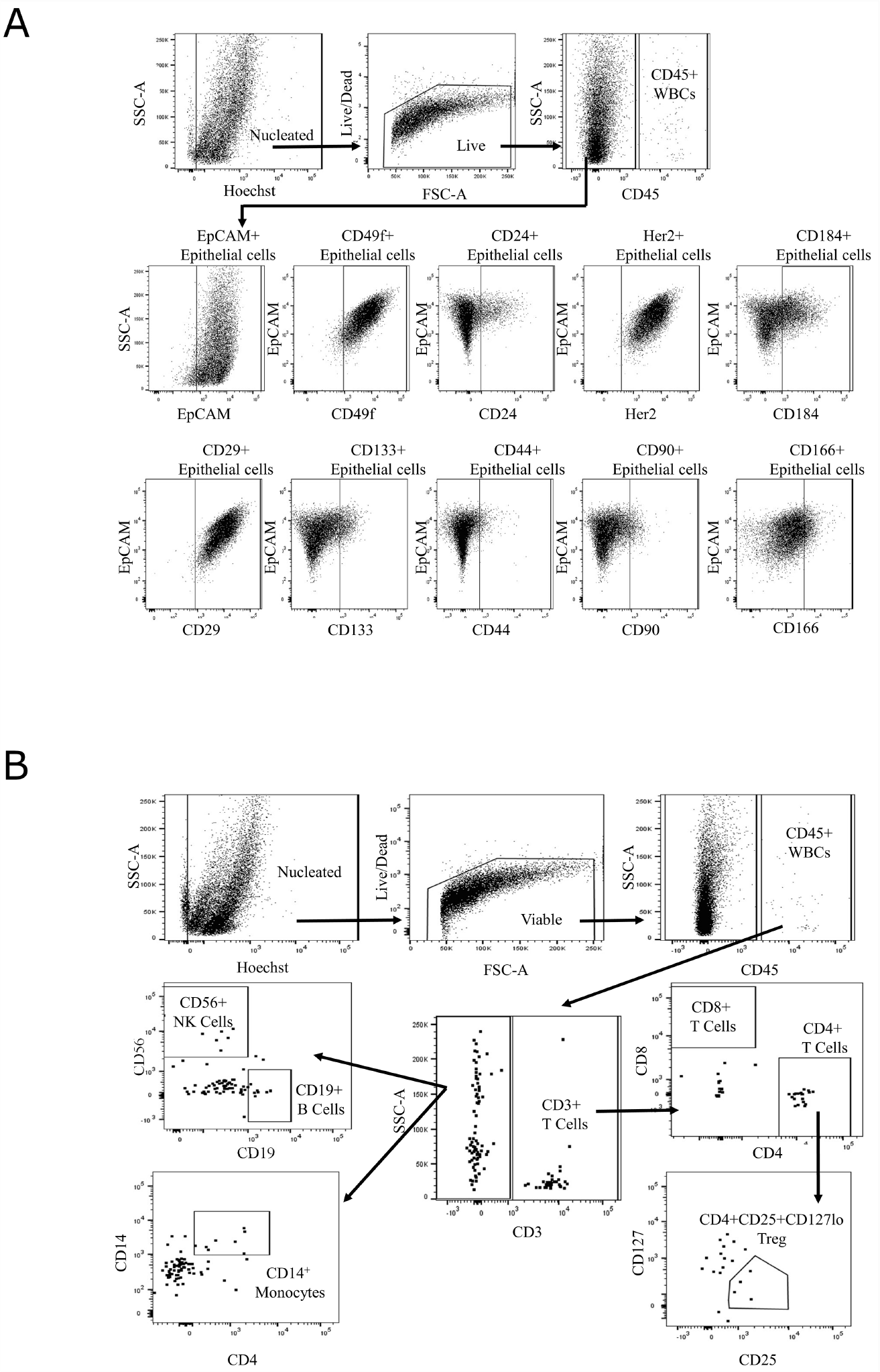 Gating strategy for single-cell immunophenotyping.