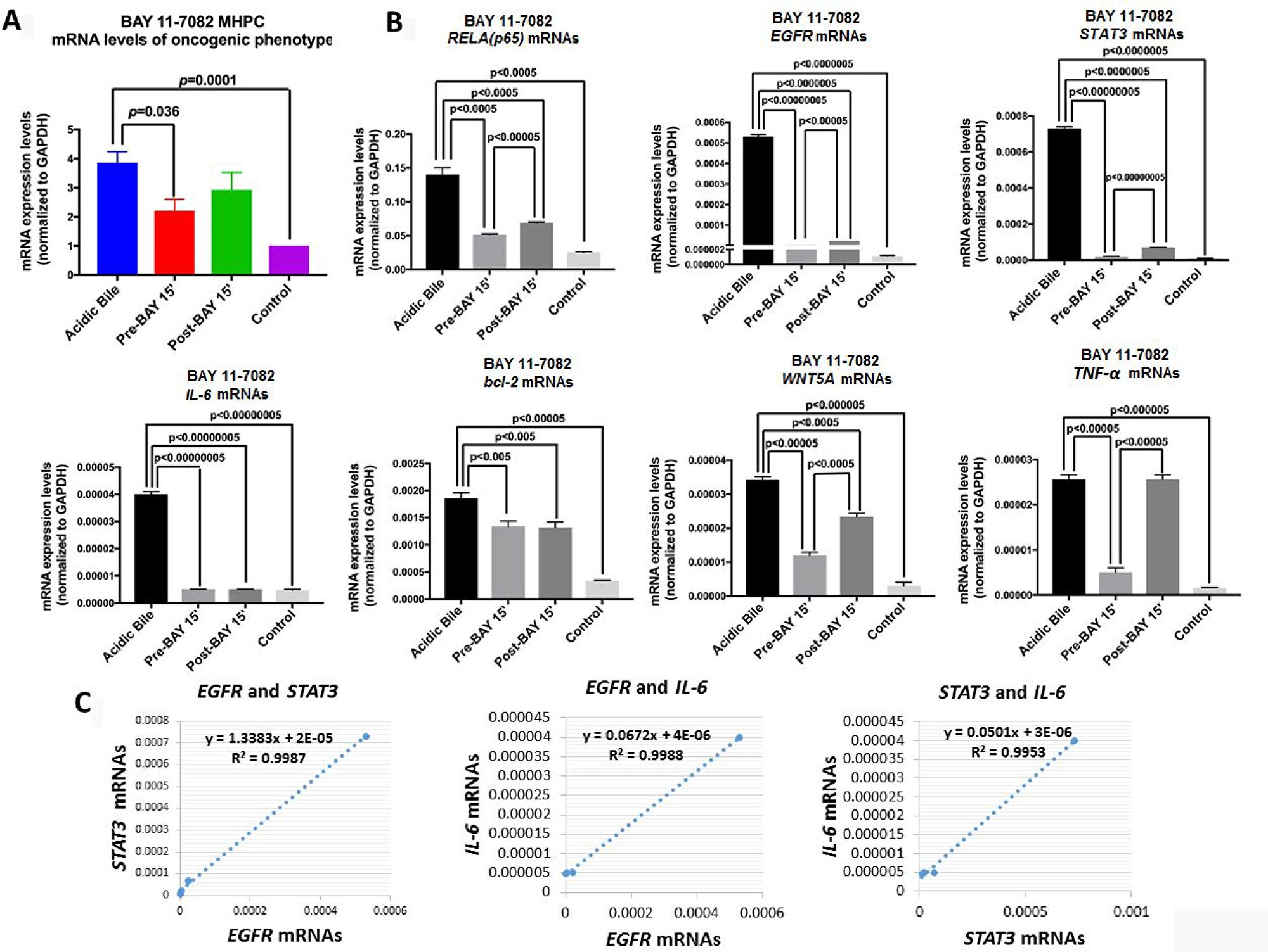 Pre- or post-application of BAY 11-7082 blocks the acidic bile-induced transcriptional activation of genes with oncogenic function in MHPC.