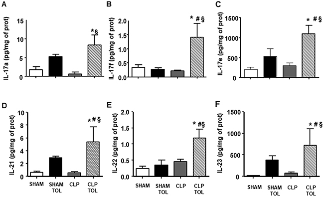 The LPS tolerance effect on splenic Th17 cytokines in septic animals.