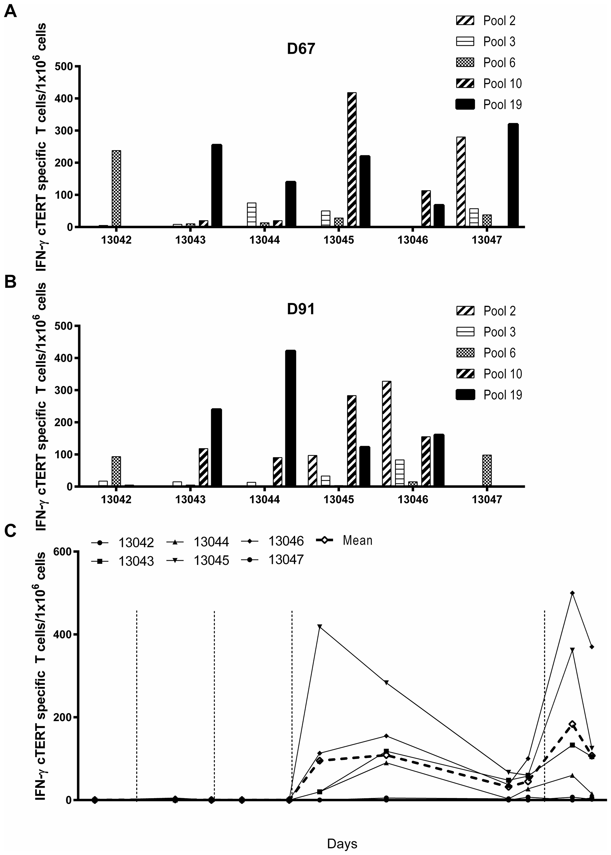 Immunogenicity of pNTC-DUV5 in beagle dogs.