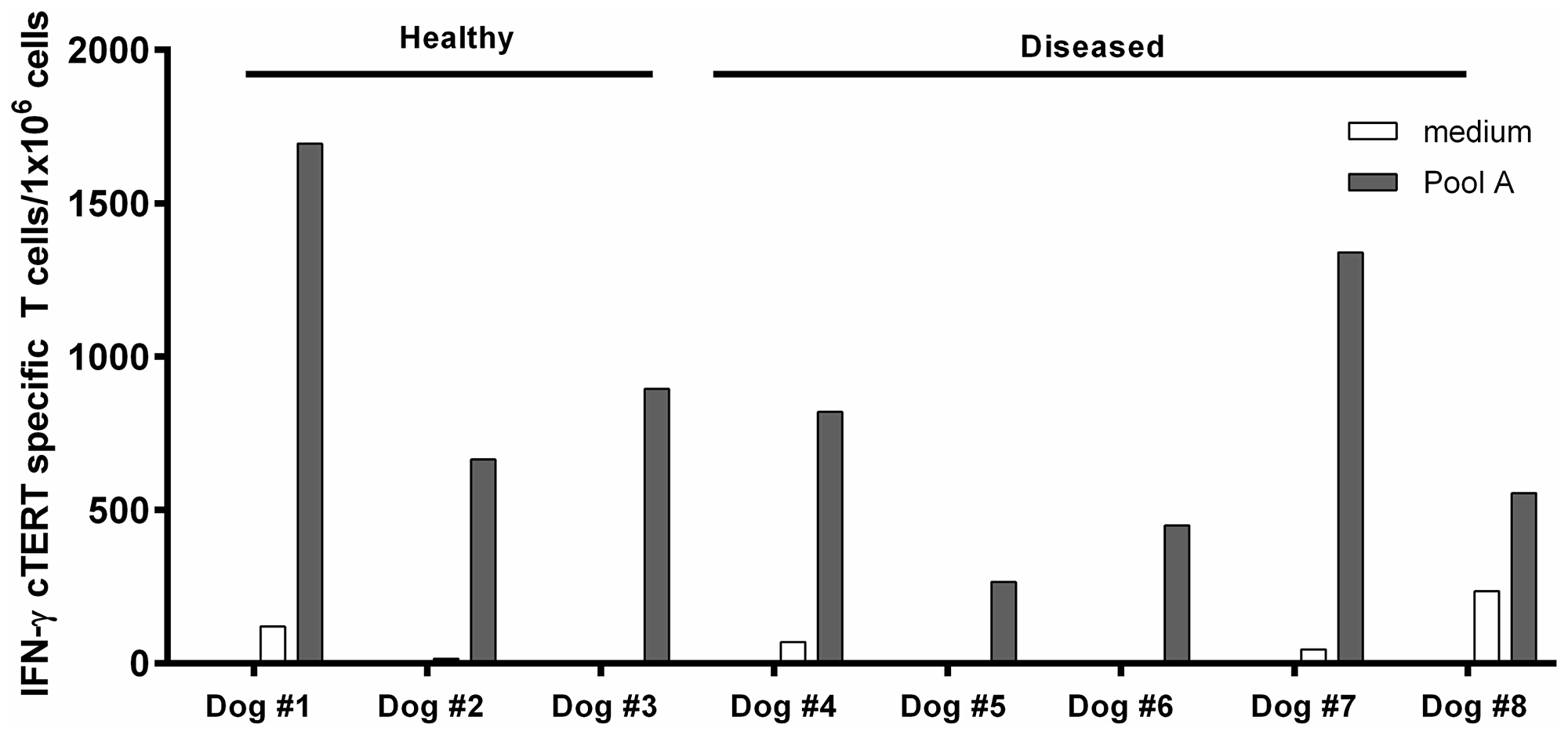 In vitro immunization assays with dogs PBMCs.