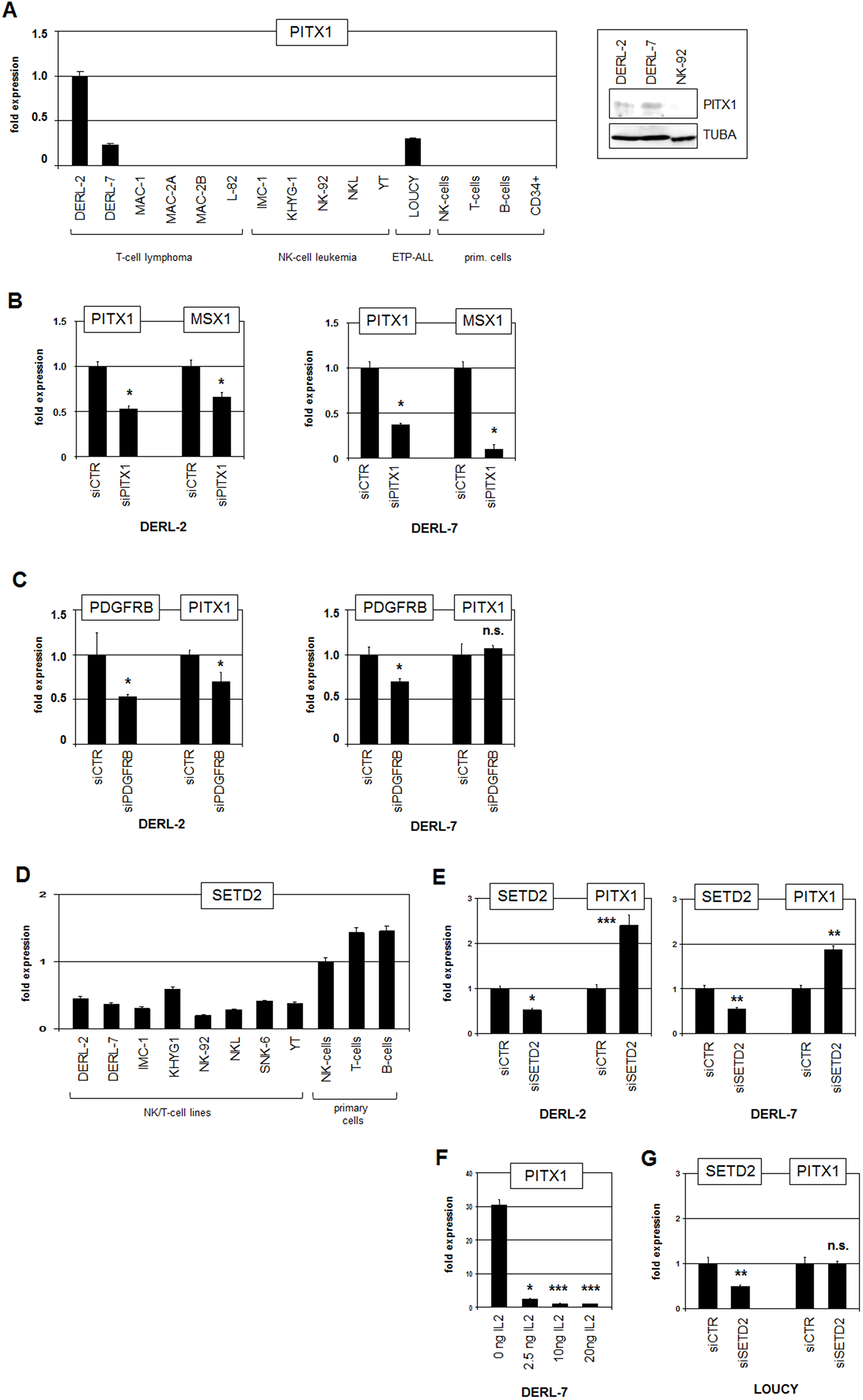 Analysis of PITX1 and SETD2.