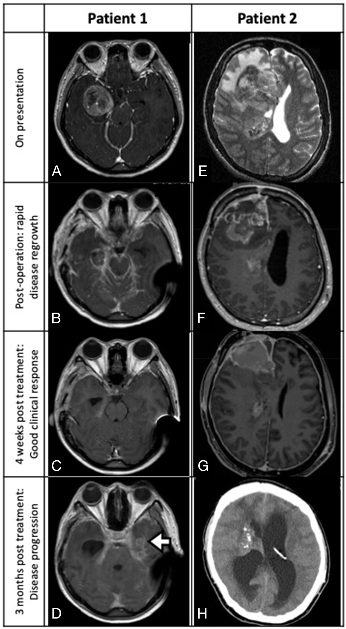 FIGURE 1: