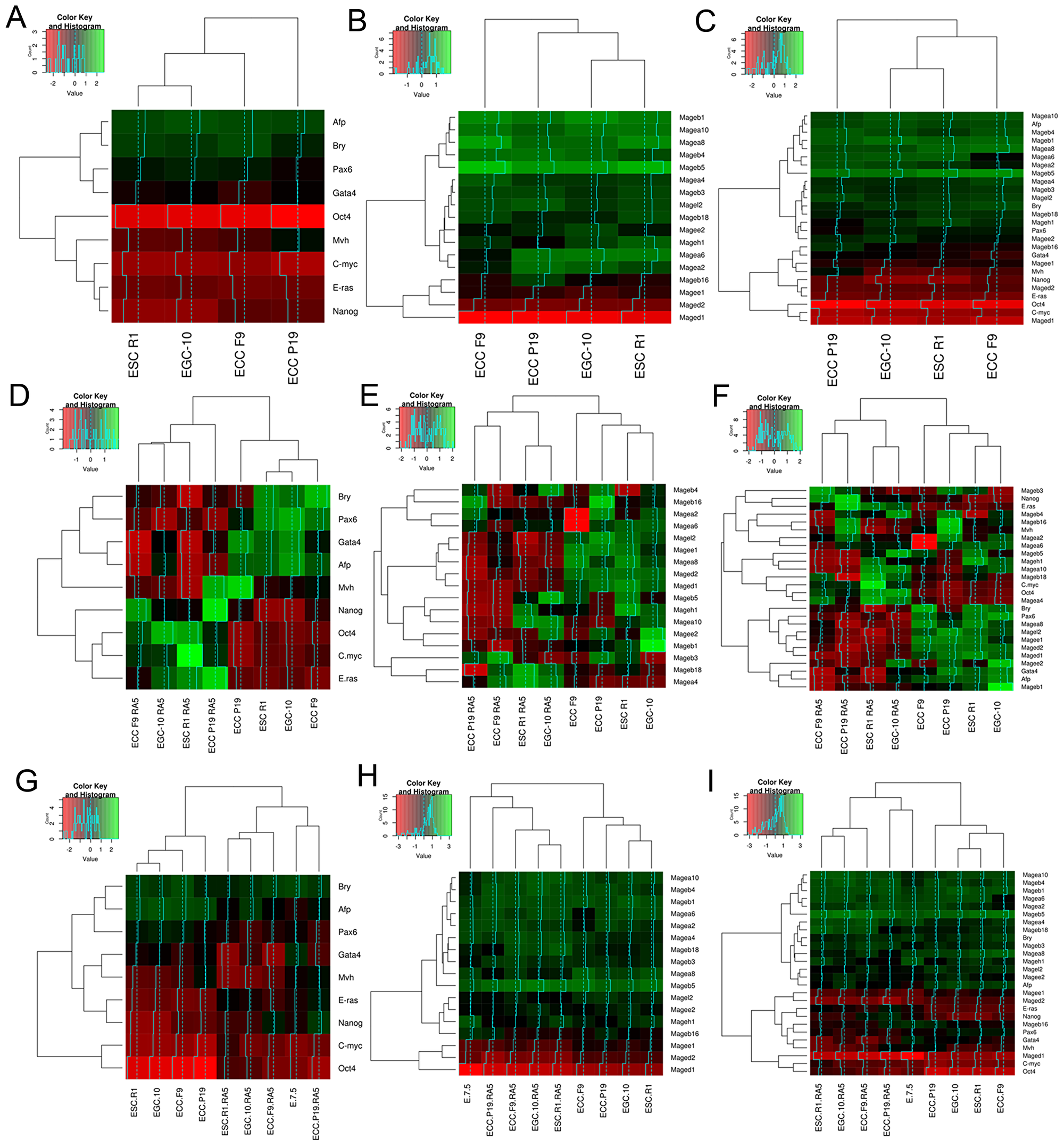 Heatmaps and hierarchical clustering dendrograms for gene expression patterns of ESC, EGC, ECC and E7.5 embryo.