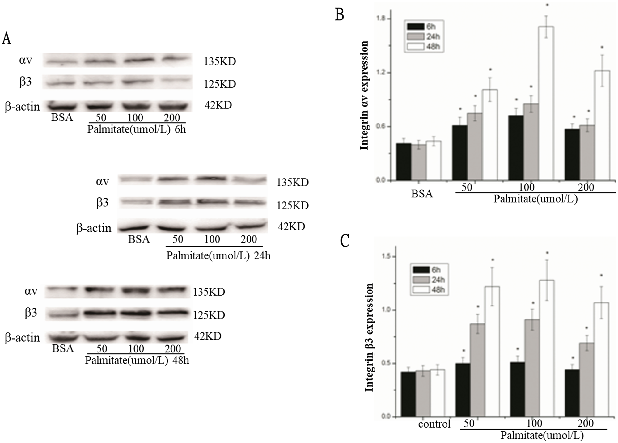 Palmitate increased the protein expression of integrin αv and integrin β3 in HLSECs.