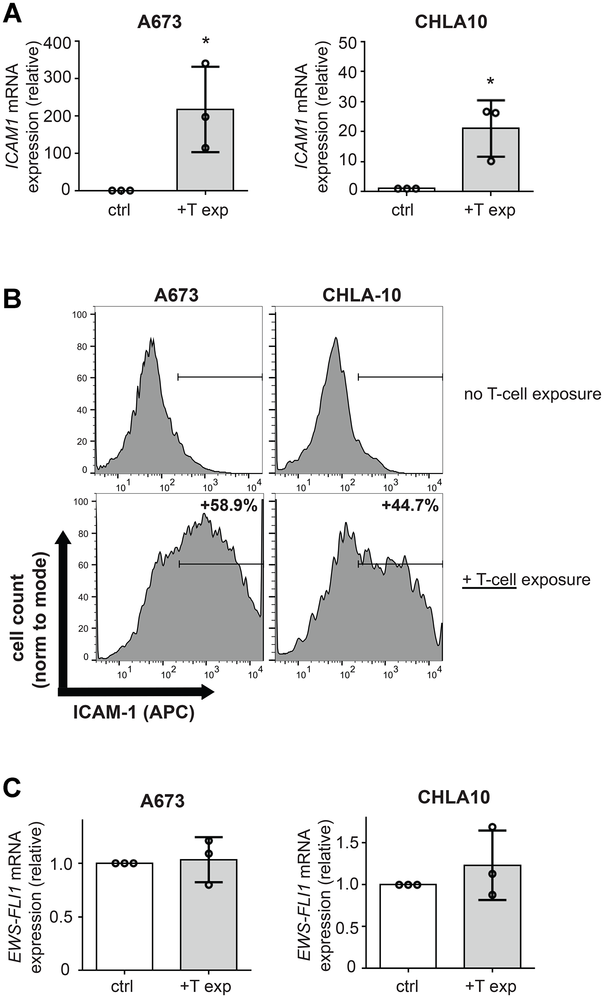 T-cell exposure leads to increased Ewing tumor cell ICAM-1 expression without changing EWS-FLI1 level.