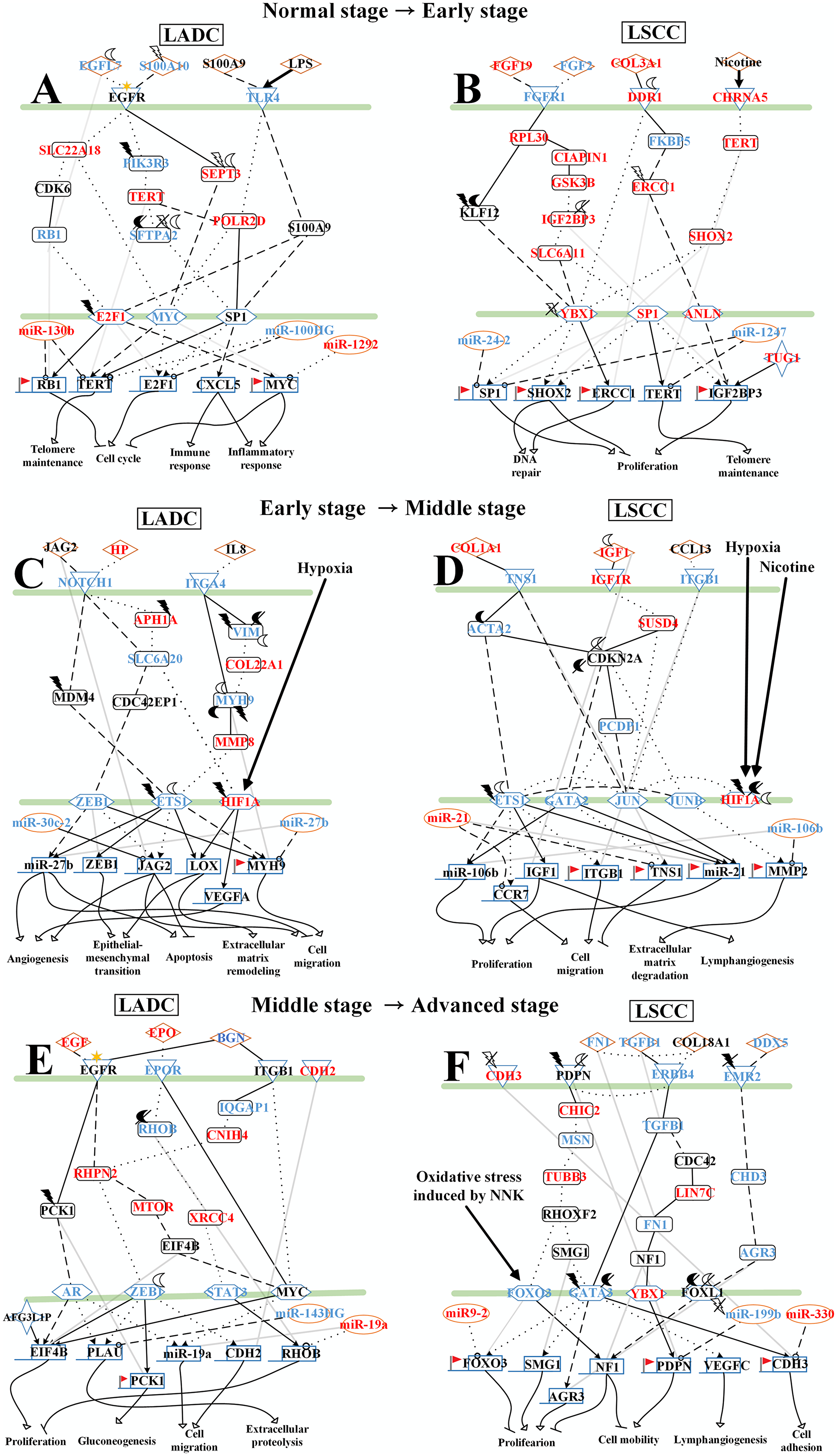 The specific core signaling pathways extracted from Figures 2–4 for investigating the differential progression molecular mechanisms between LADC and LSCC.