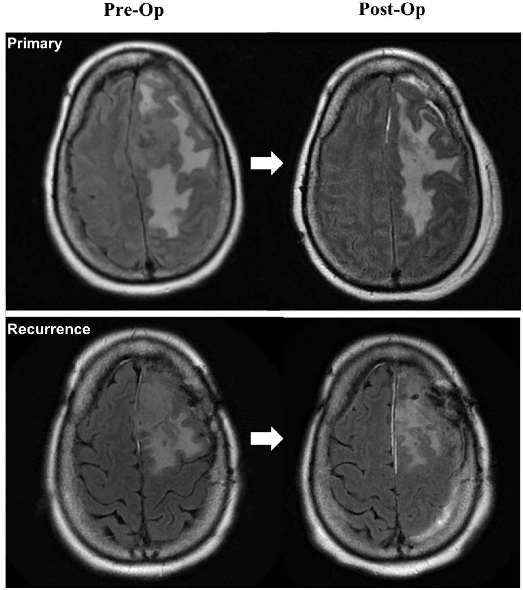 Figure 2: