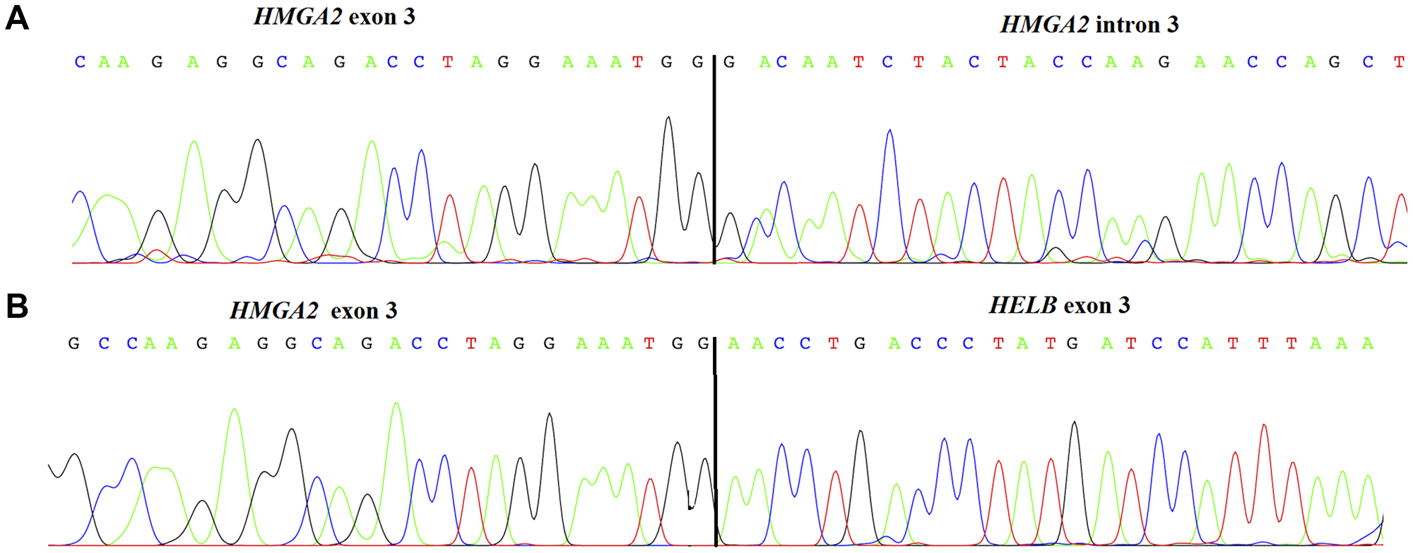 Figure 3: