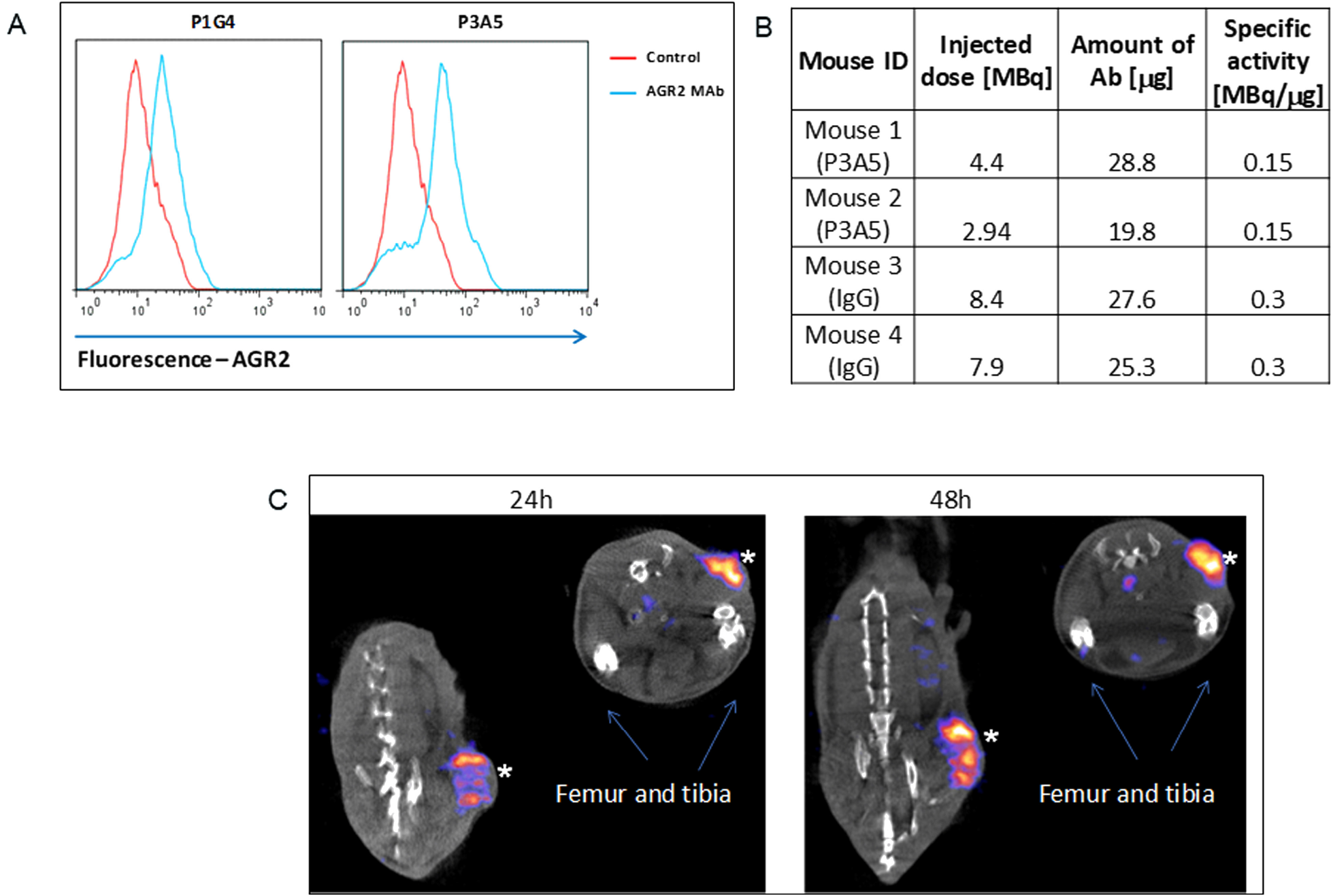 Cell surface expression of AGR2.