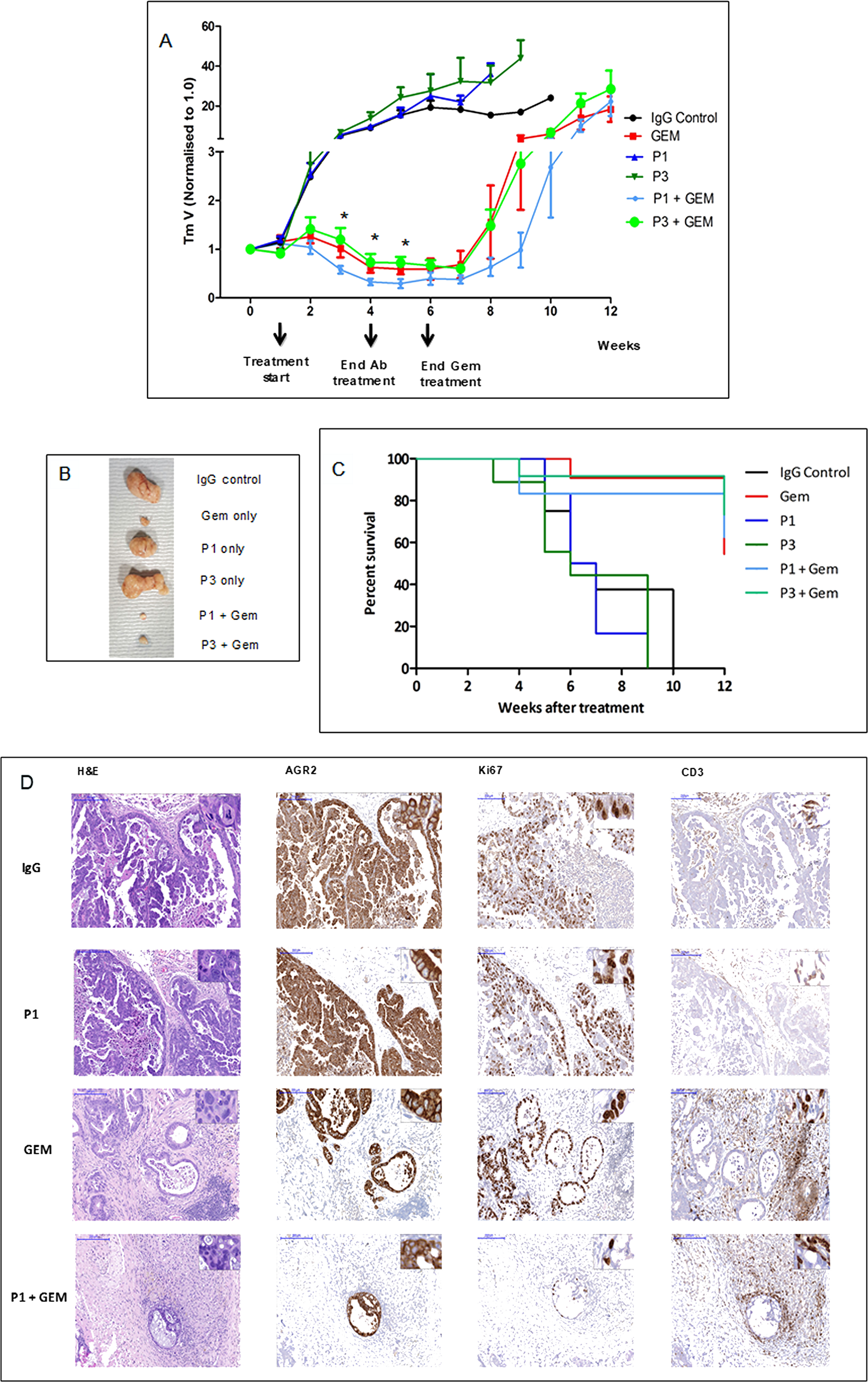 Tumor growth inhibition by drug in combination with antibodies.