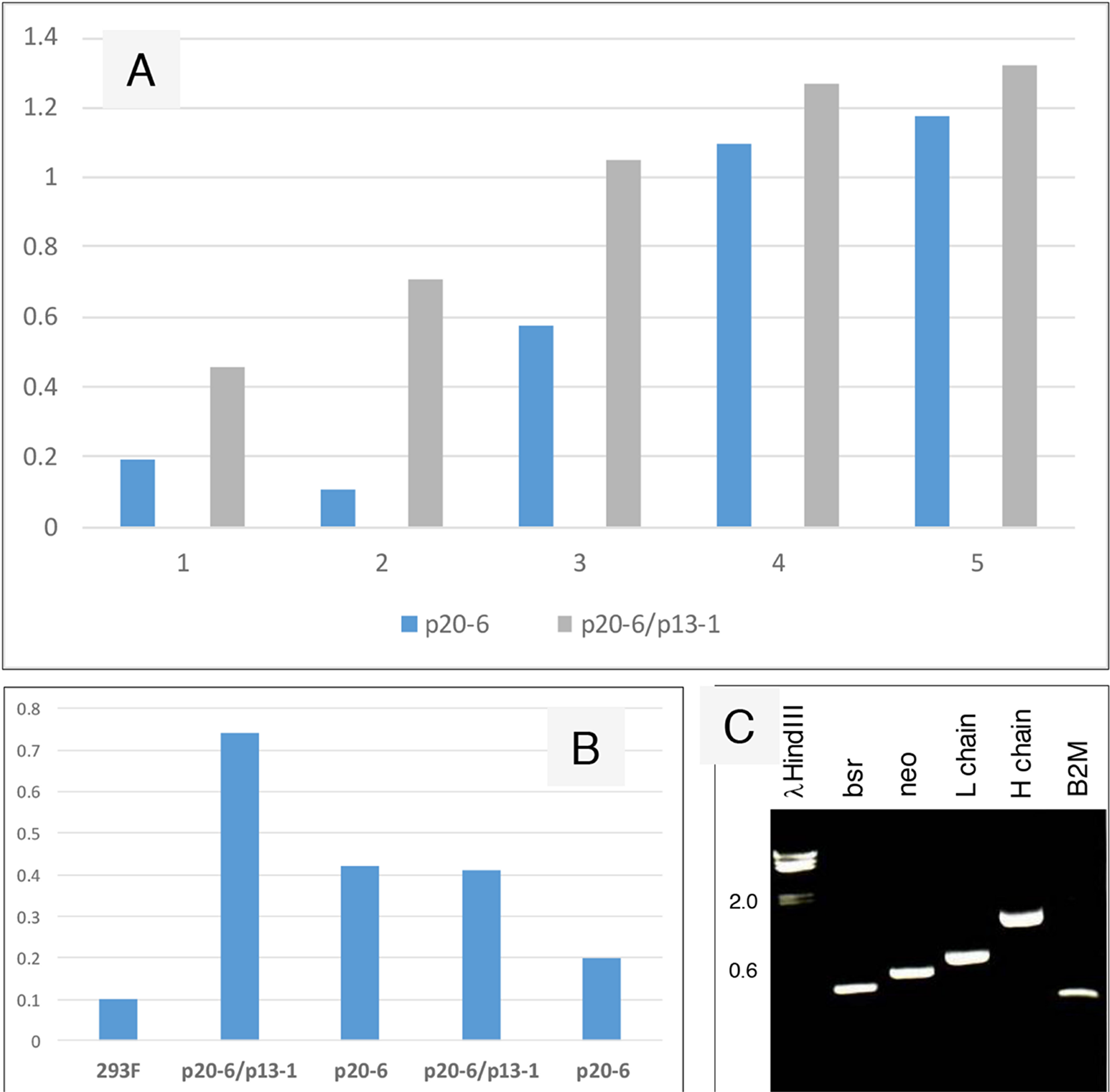 Increased IgG production from serially transfected 293F cells.