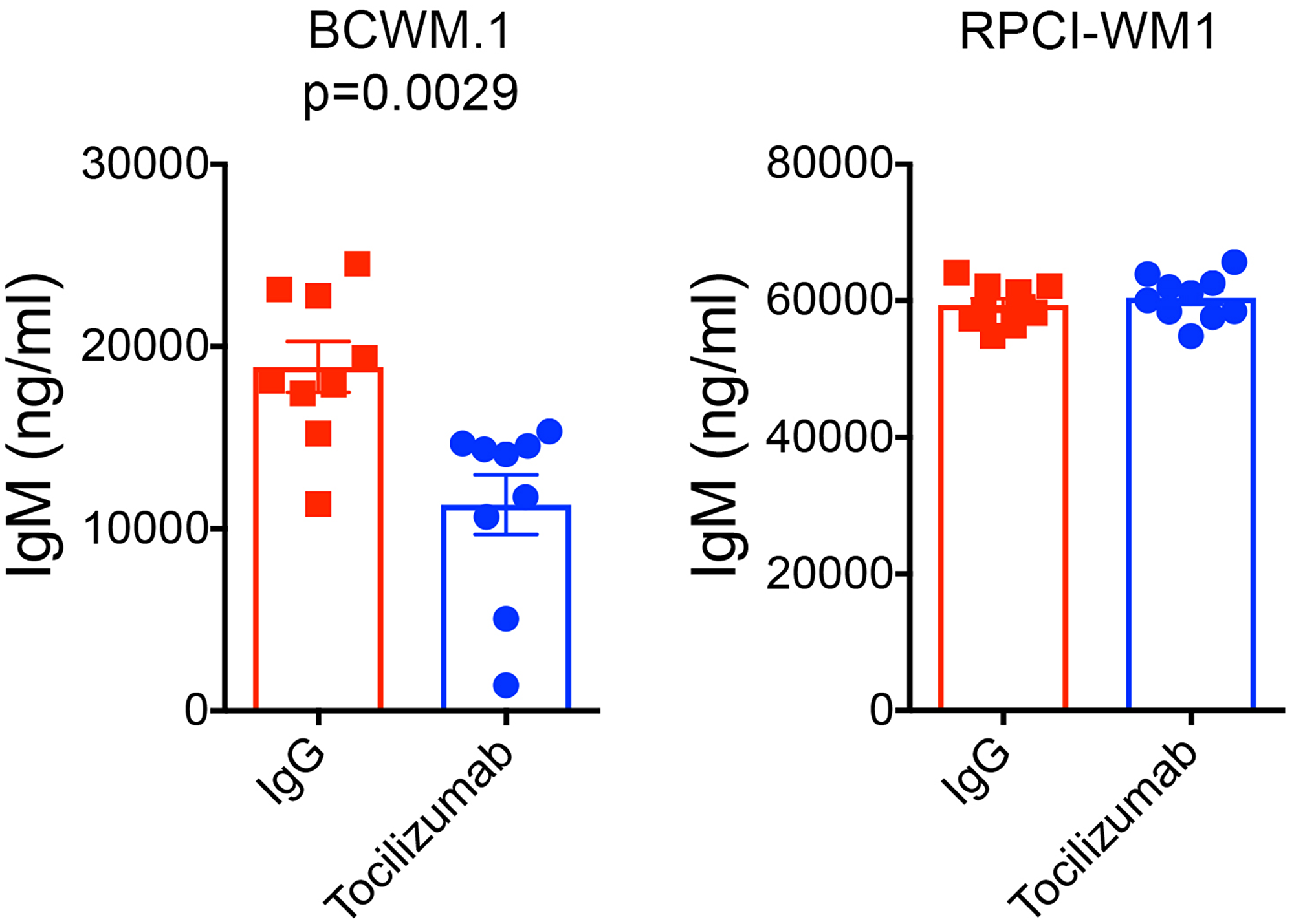 Tocilizumab reduces human IgM secretion in mice xenografted with BCWM.1 cells and stromal cells.