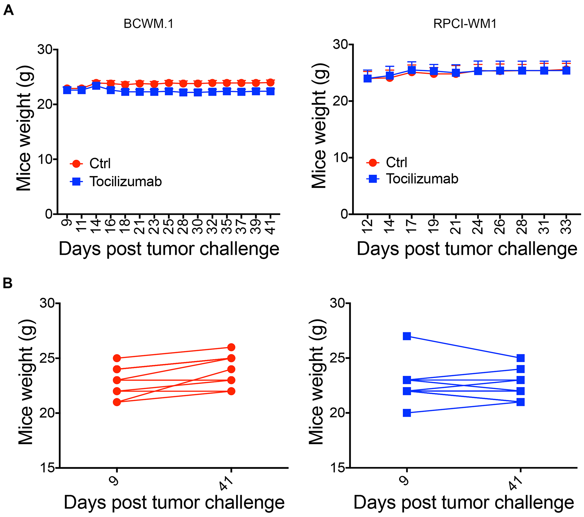 Tocilizumb is not toxic to mice.